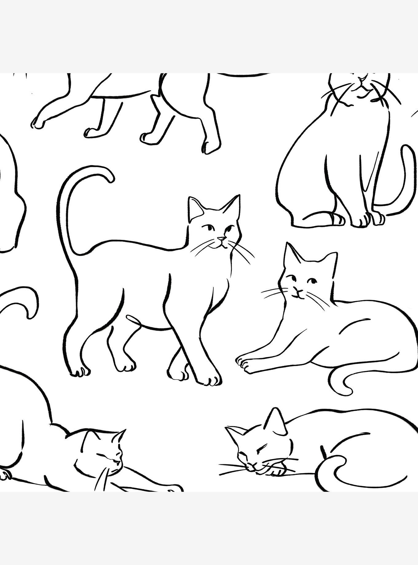 Cat Poses Black and White Wallpaper, , hi-res