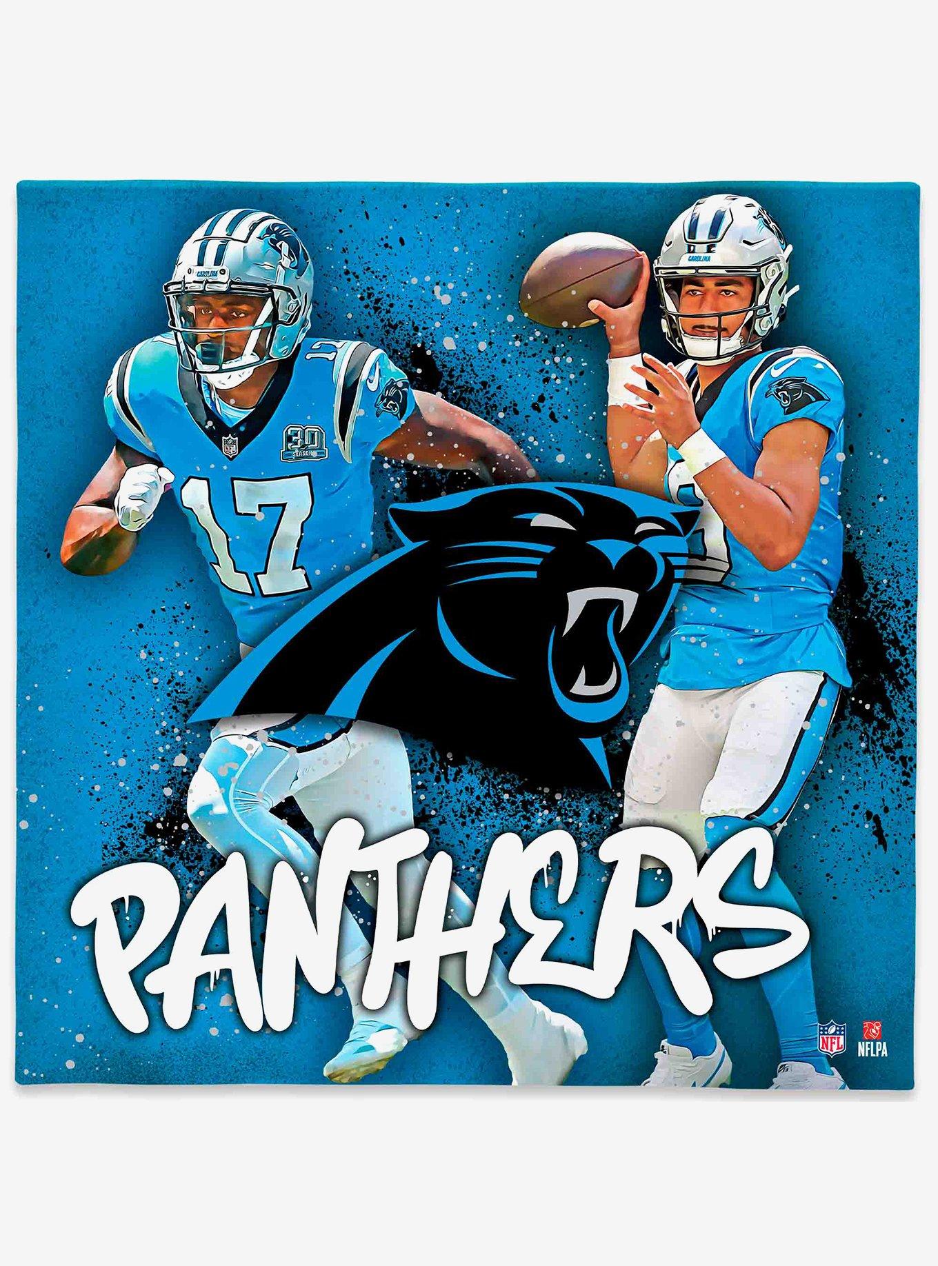 NFL Carolina Panthers Canvas Wall Art, , hi-res