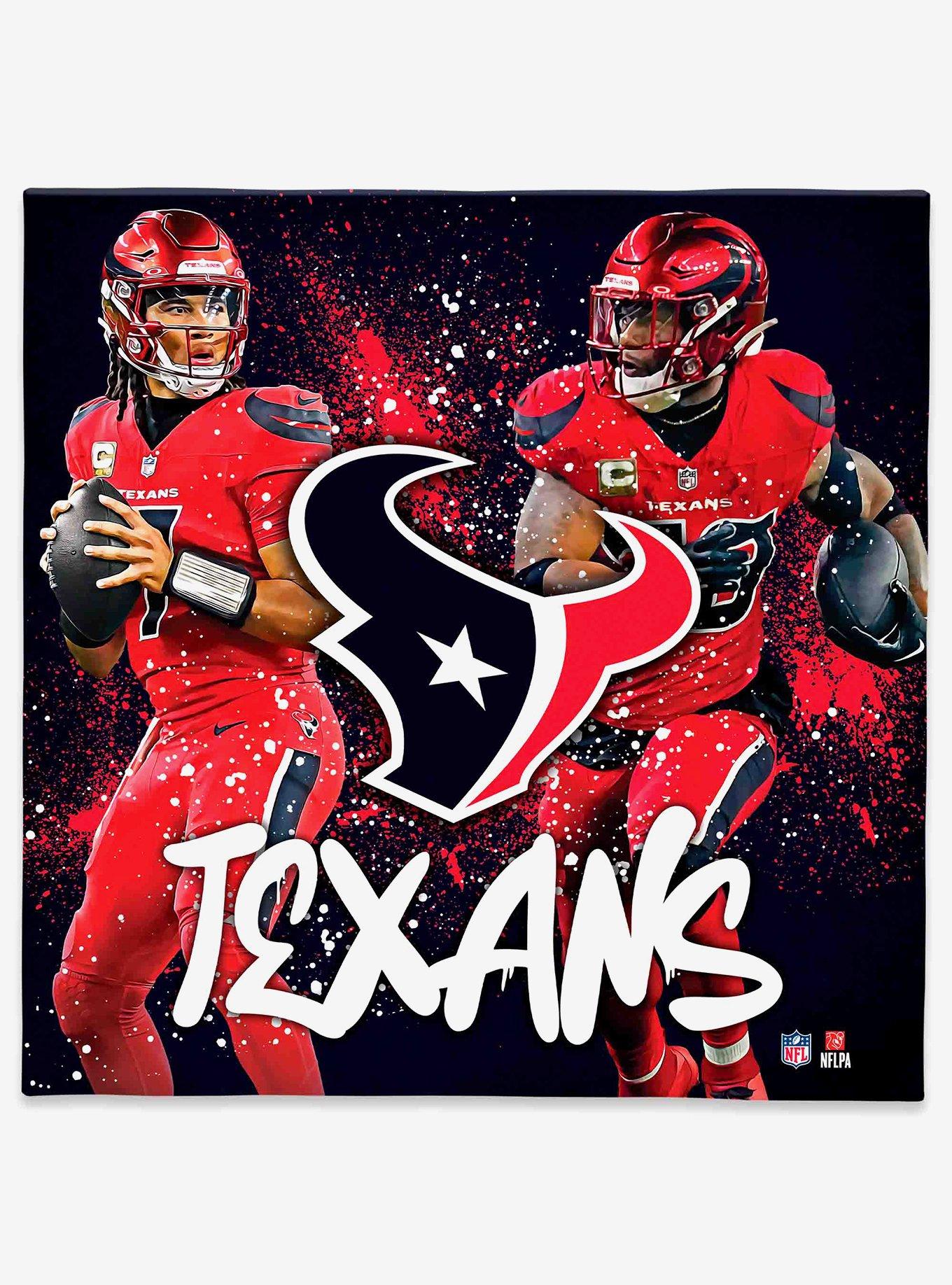 NFL Houston Texans Canvas Wall Art, , hi-res