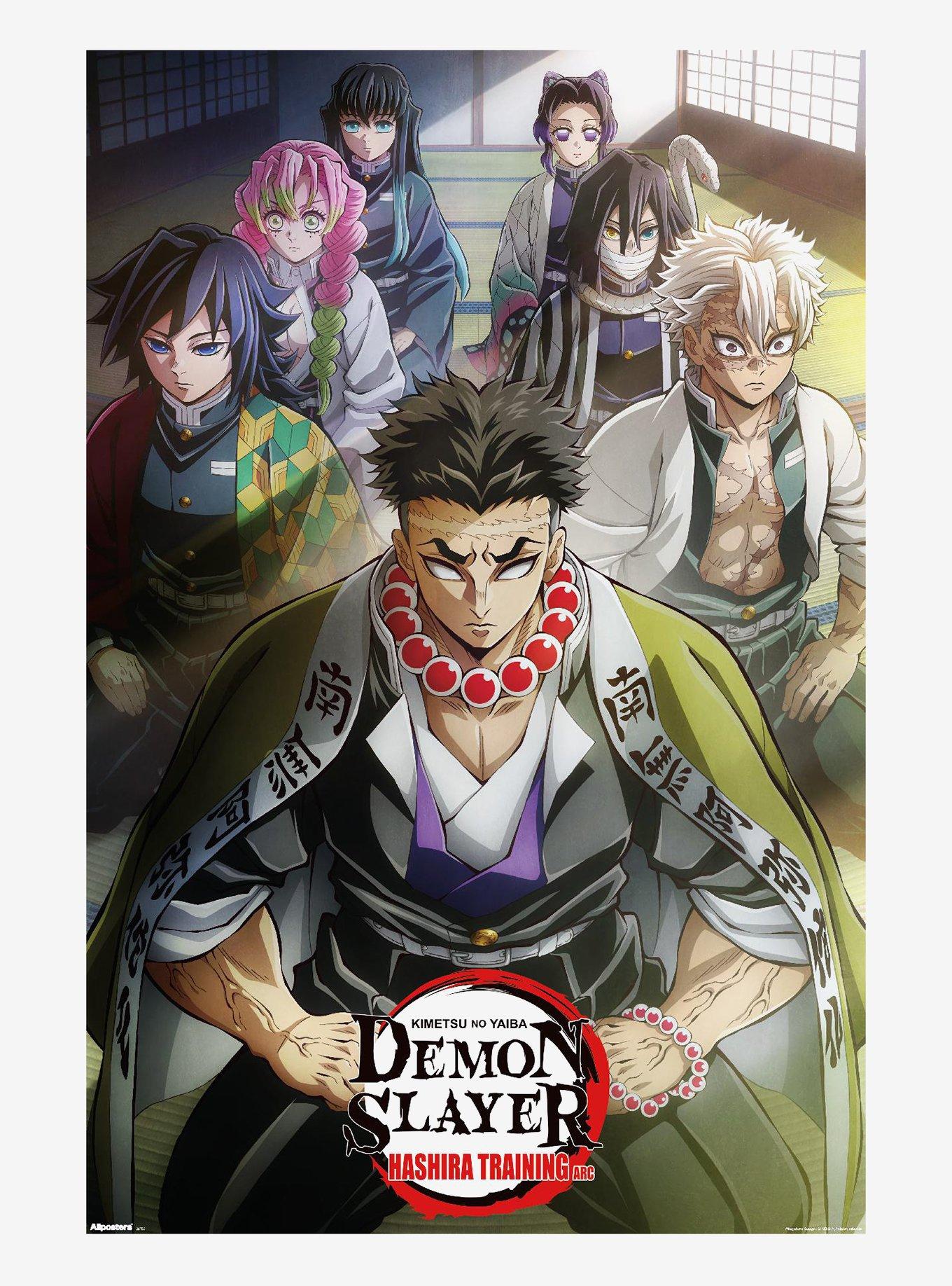 Demon Slayer: Kimetsu No Yaiba Hashira Training Arc Poster, , hi-res