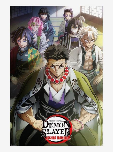 Demon Slayer: Kimetsu No Yaiba Hashira Training Arc Poster | Hot Topic