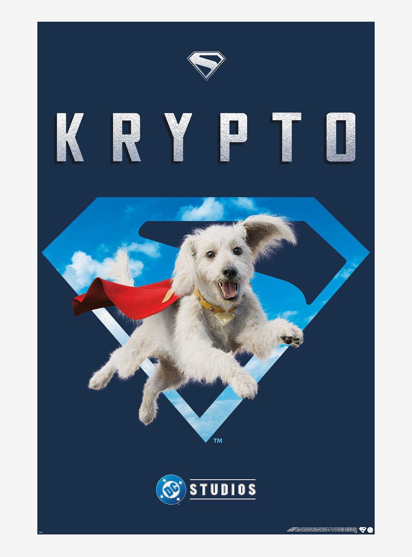 DC Comics Superman Krypto Poster