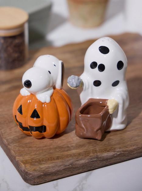 Peanuts Snoopy & Charlie Brown Halloween Salt & Pepper Shaker Set