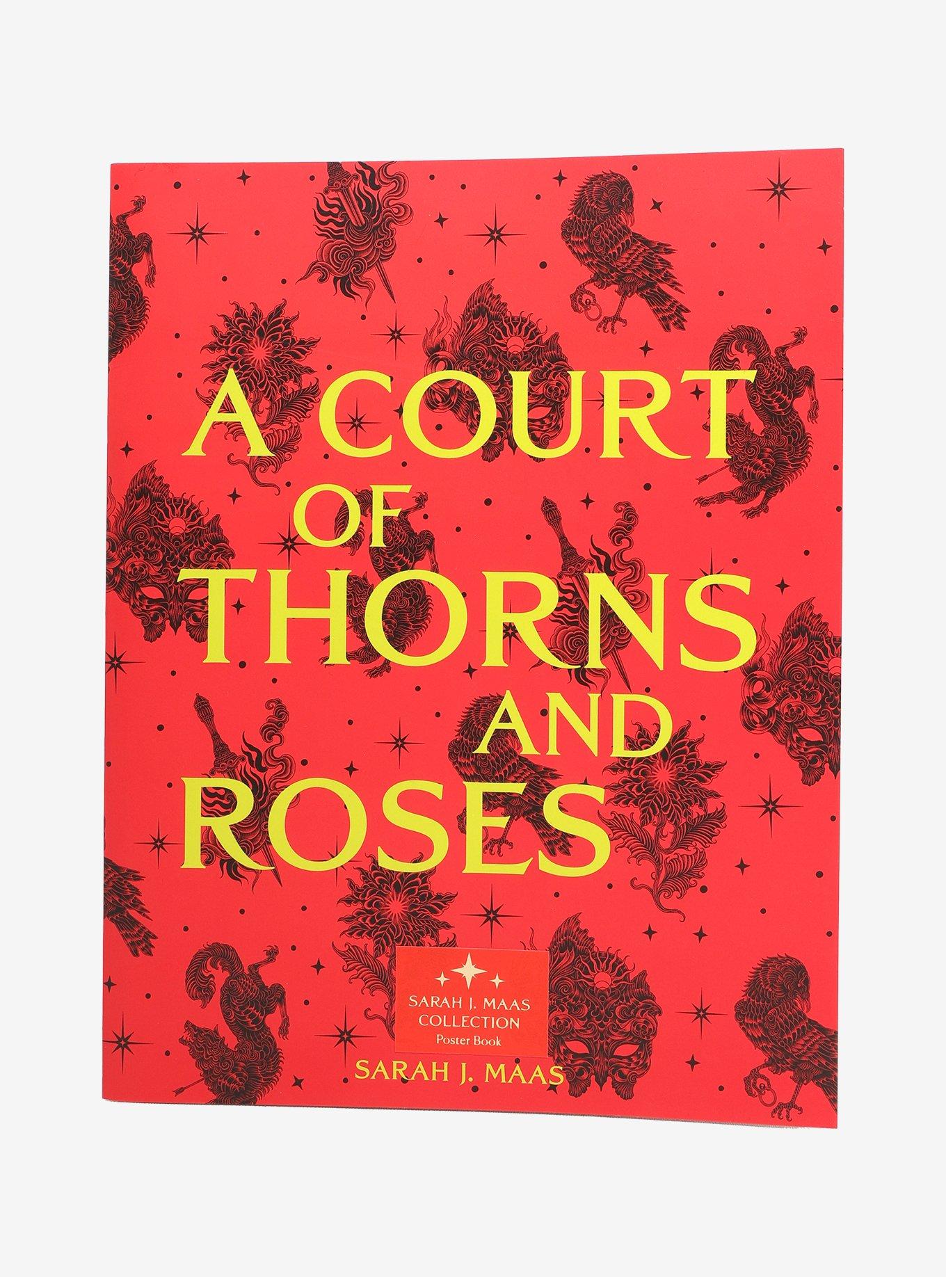 A Court Of Thorns And Roses Poster Book, , hi-res