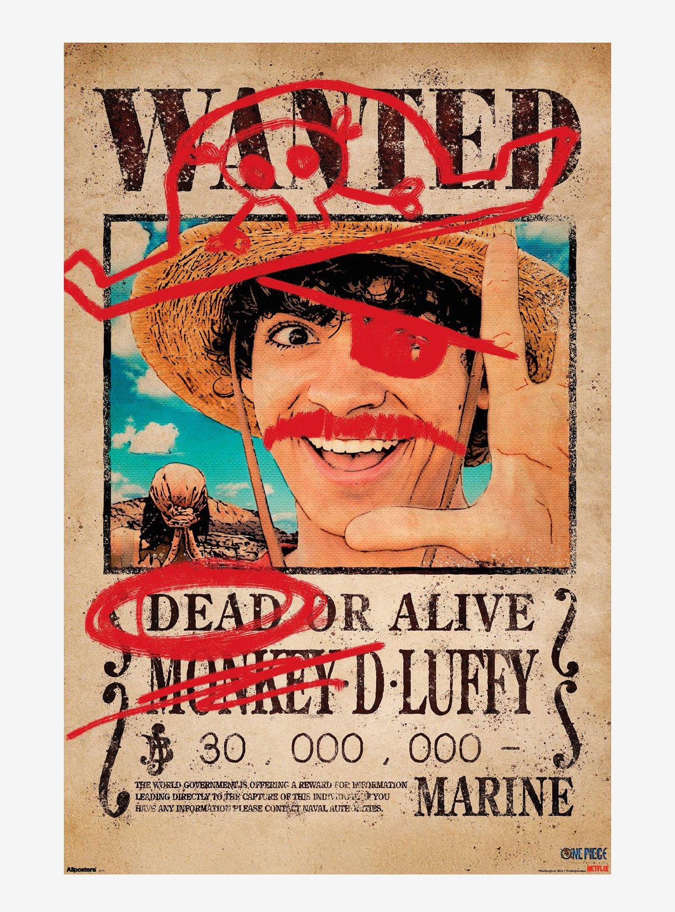 One Piece Luffy Wanted Poster, , hi-res