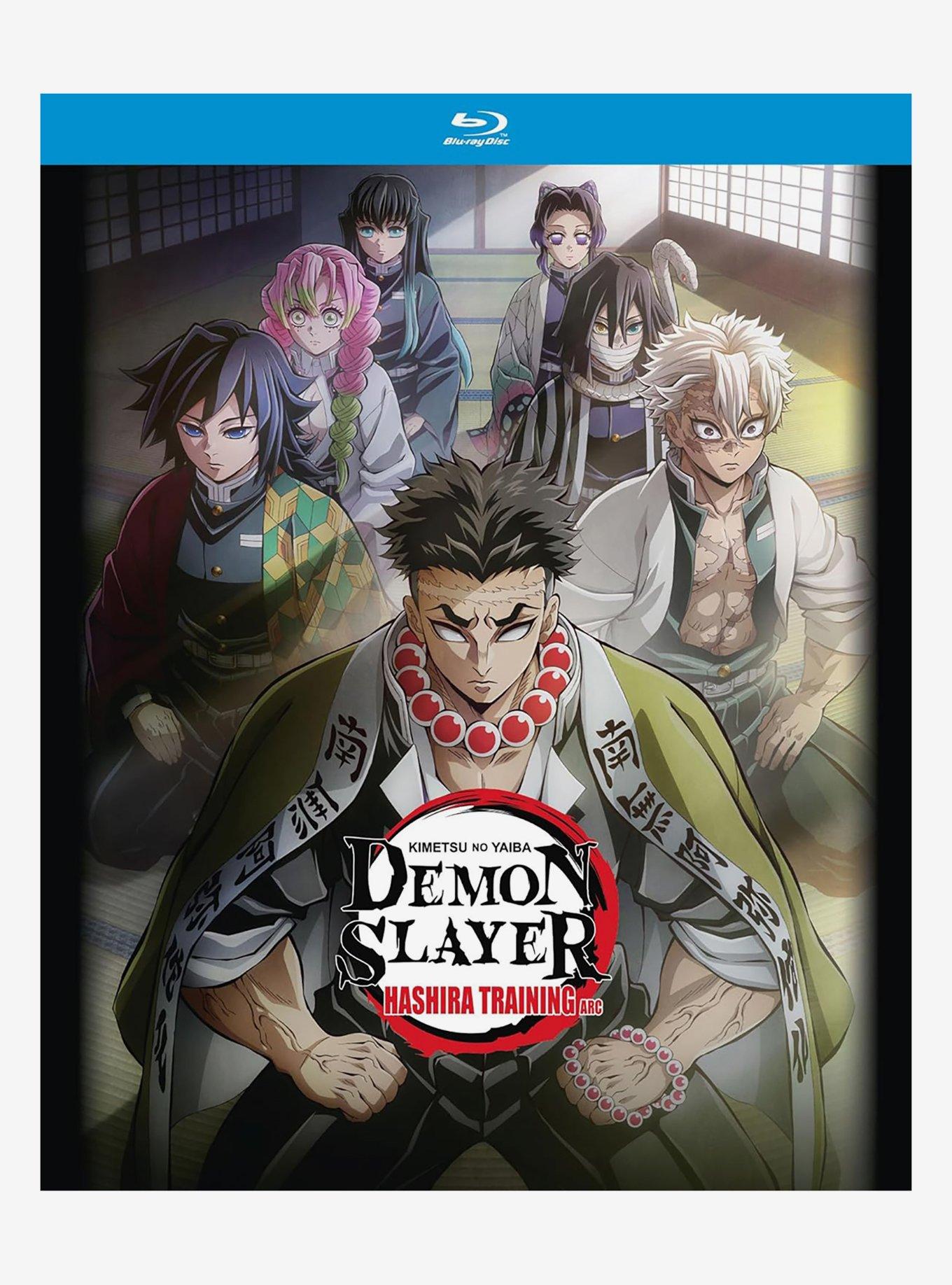 Demon Slayer: Kimetsu No Yaiba Hashira Training Arc Blu-Ray, , hi-res