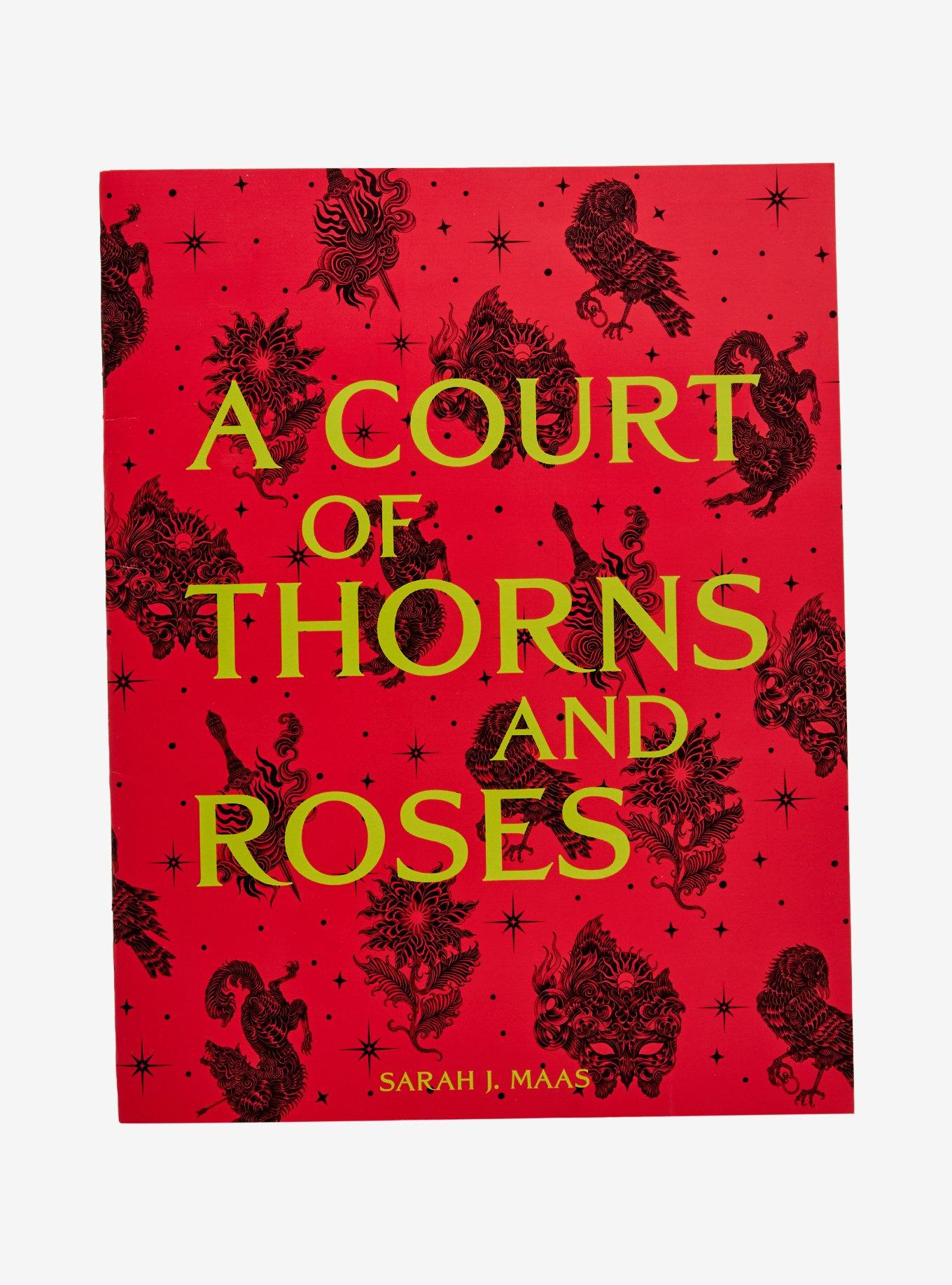 A Court of Thorns and Roses Poster Book - BoxLunch Exclusive, , hi-res