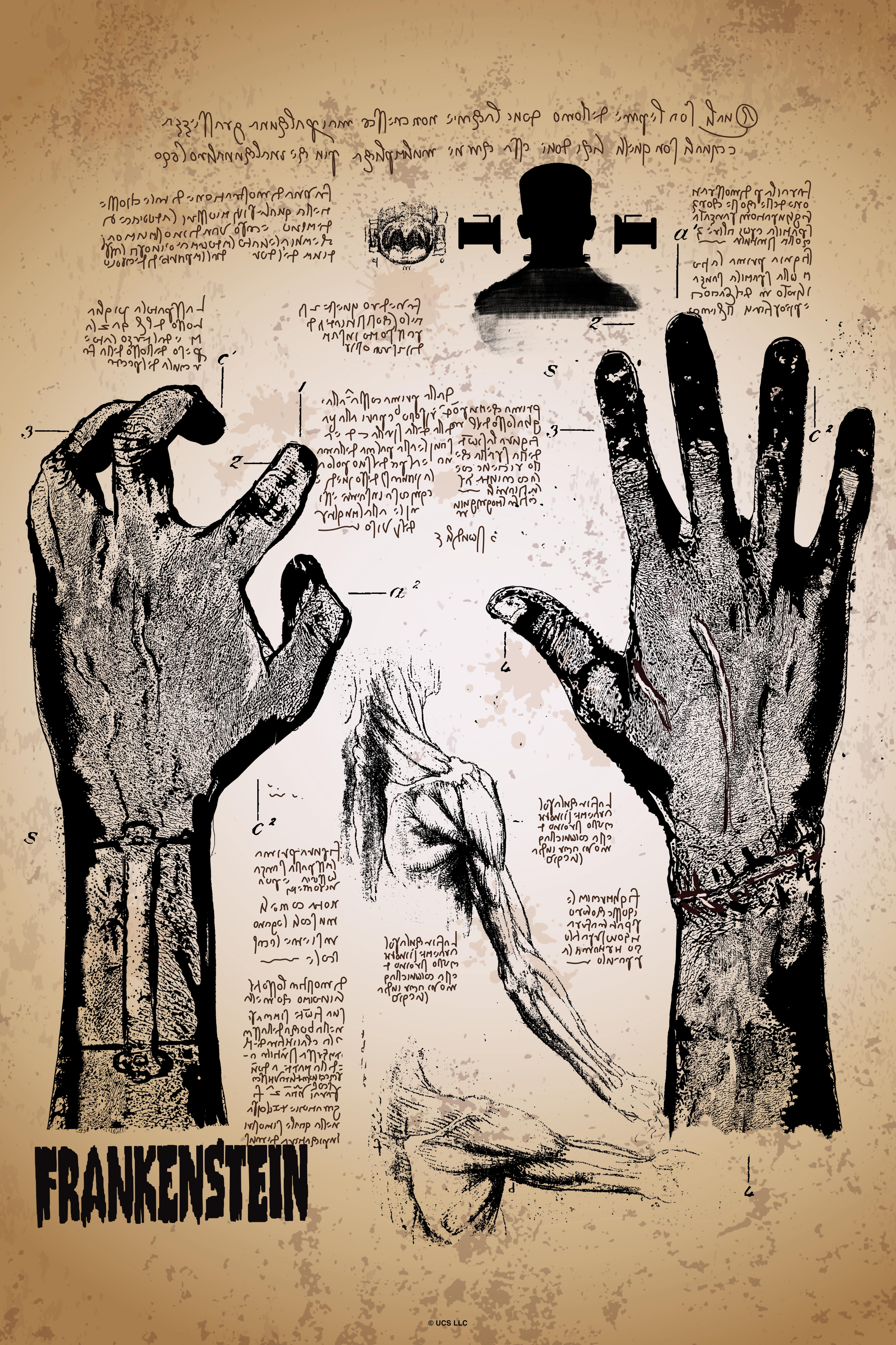 Frankenstein The Creations Blue Prints Poster