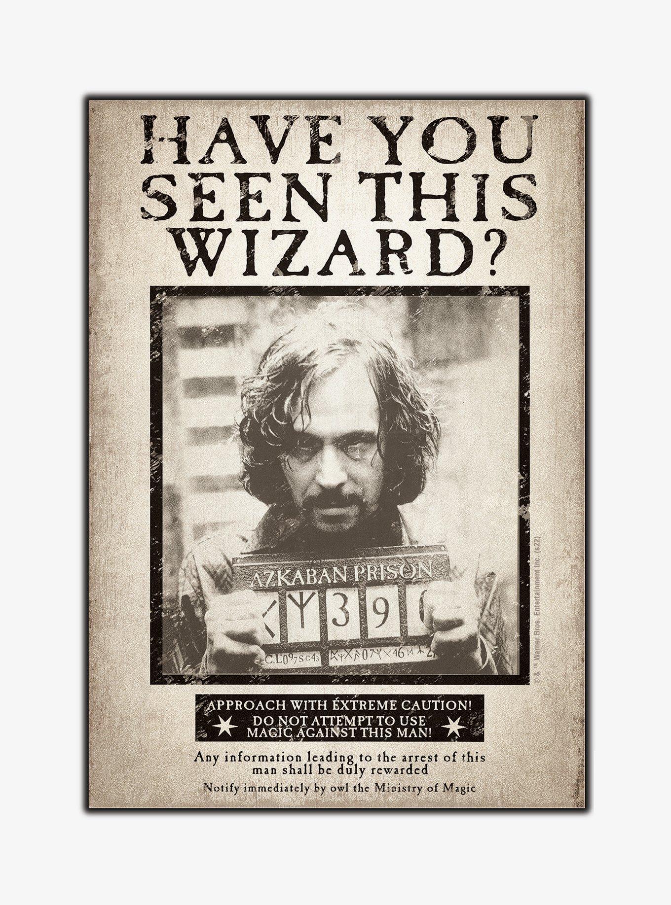 Harry Potter Have You Seen Wizard Magnet, , hi-res