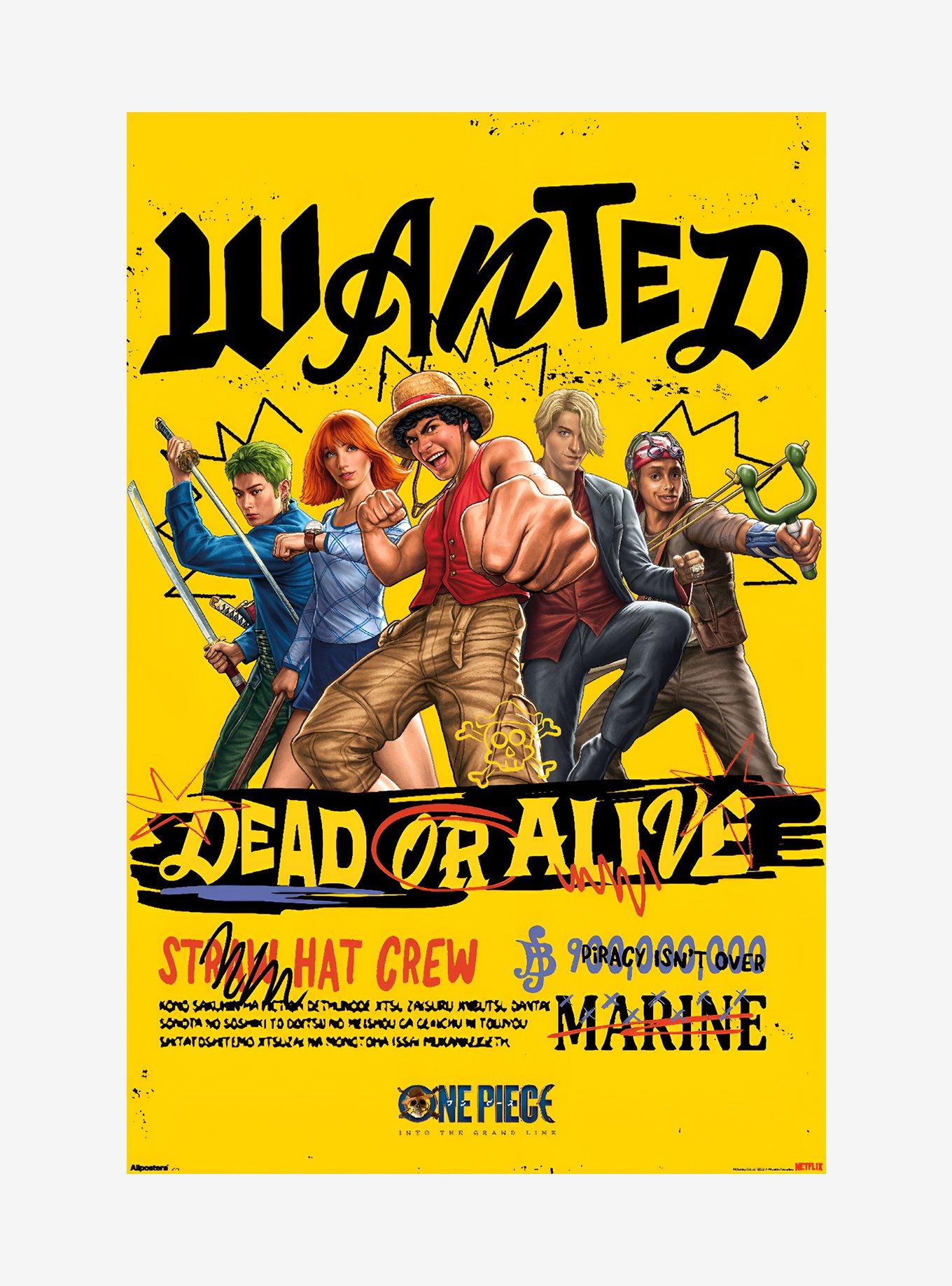 One Piece Wanted Straw Hat Crew Poster, , hi-res