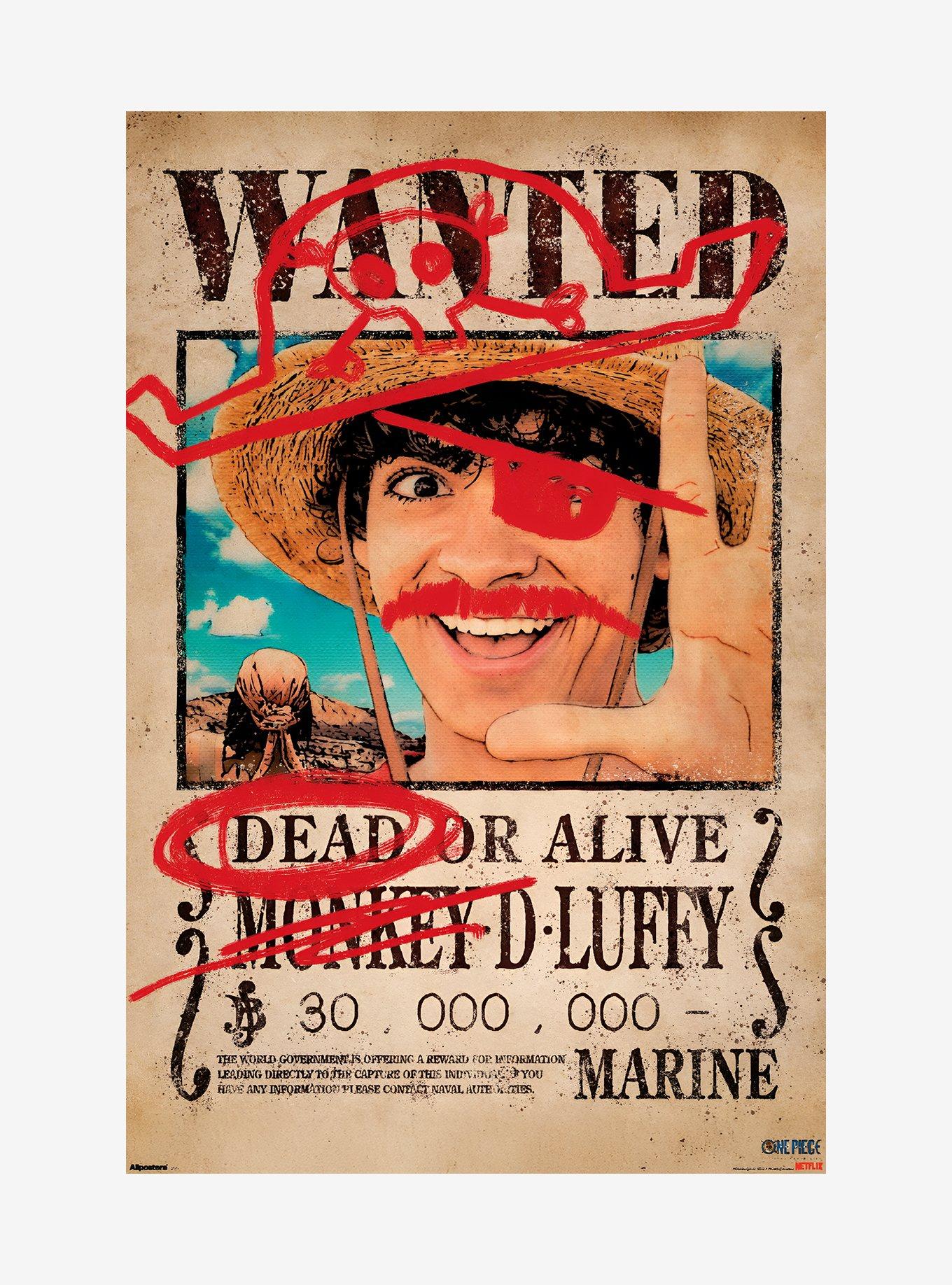 One Piece Luffy Wanted Poster, , hi-res