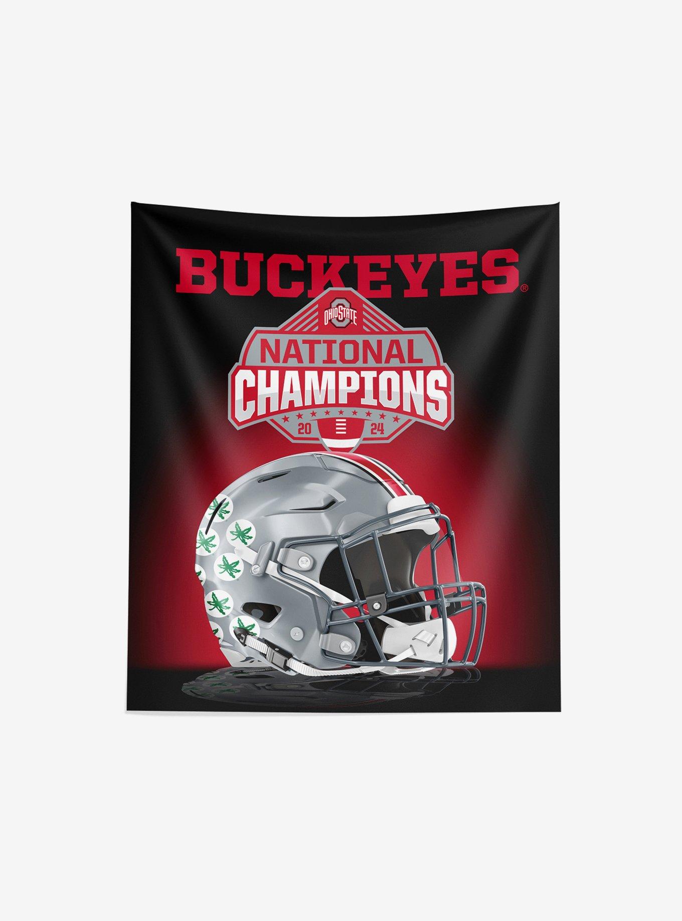 NCAA Ohio State Buckeyes 2024 FBC Spotlight Wall Hanging, , hi-res