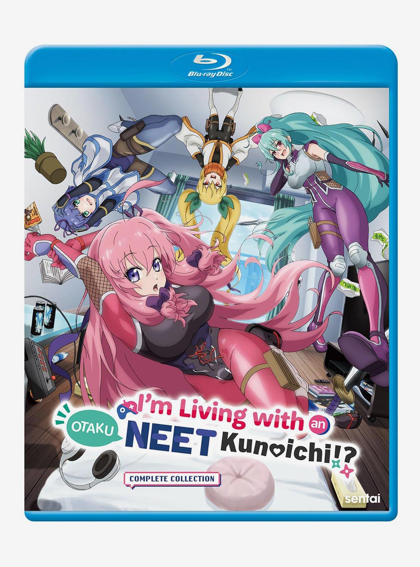 I'm Living With An Otaku Neet Kunoichi: Complete Collection Blu-Ray, , hi-res