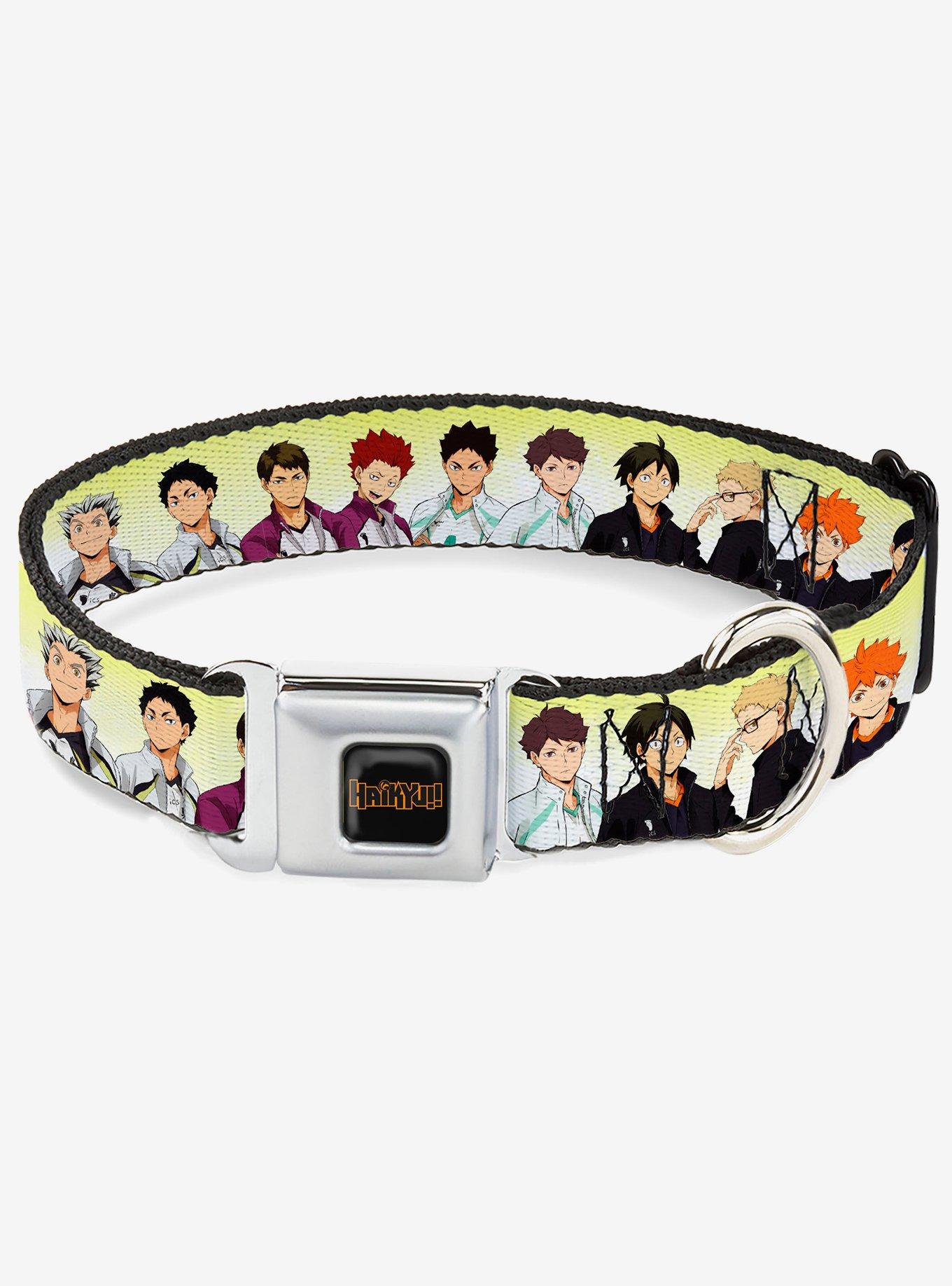 Haikyu!! Six Volleyball Team Player Pairs Line Up Seatbelt Buckle Dog Collar, , hi-res