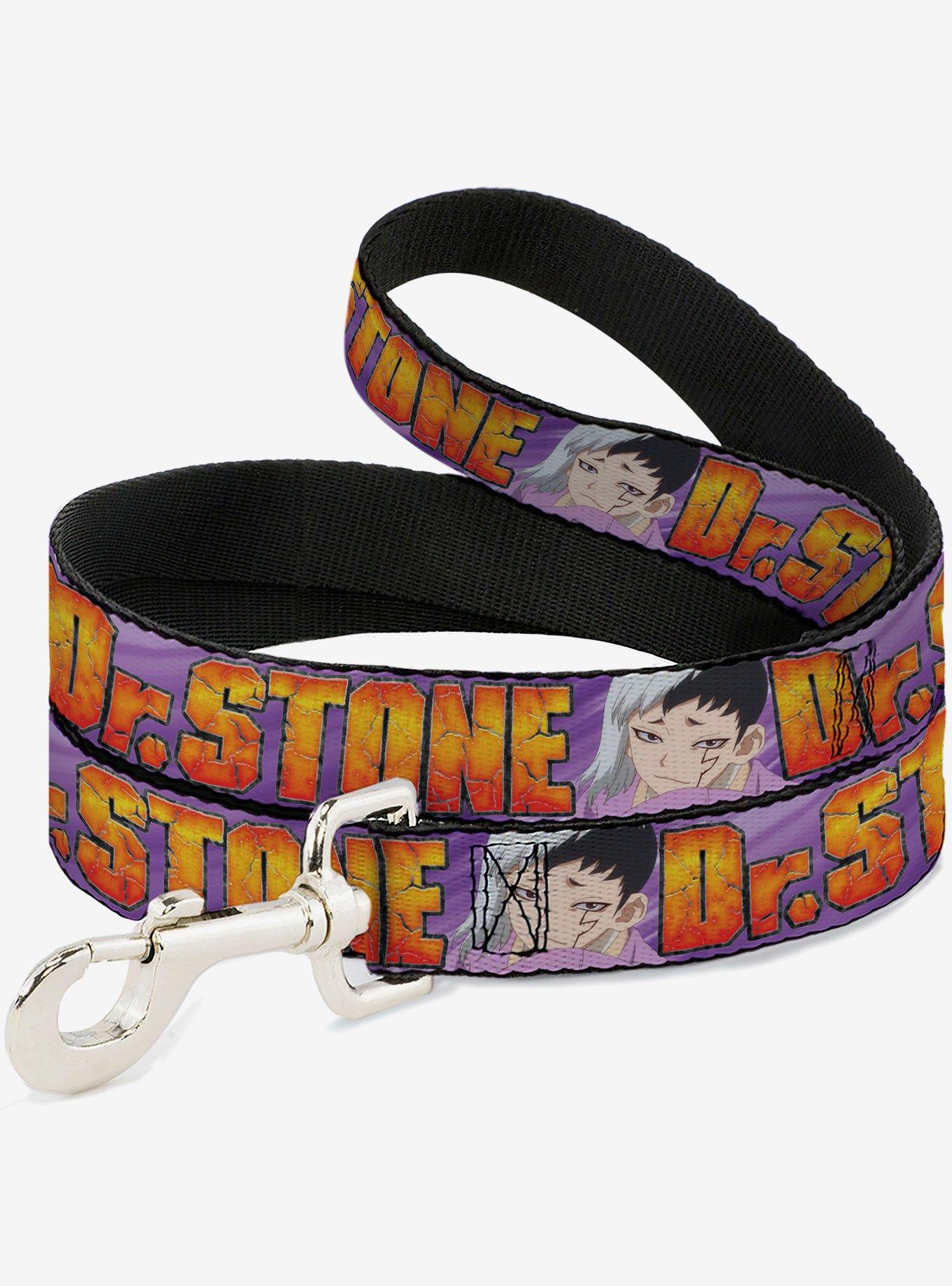 Dr. Stone Title and Gen Asagiri Face Dog Leash, , hi-res