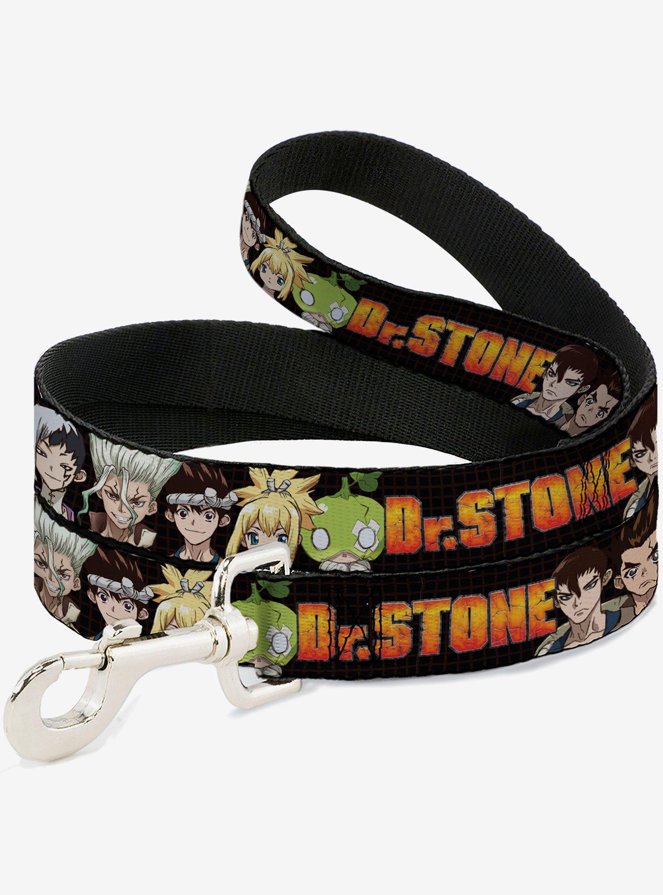 Dr. Stone Title and Character Group Black Dog Leash, , hi-res