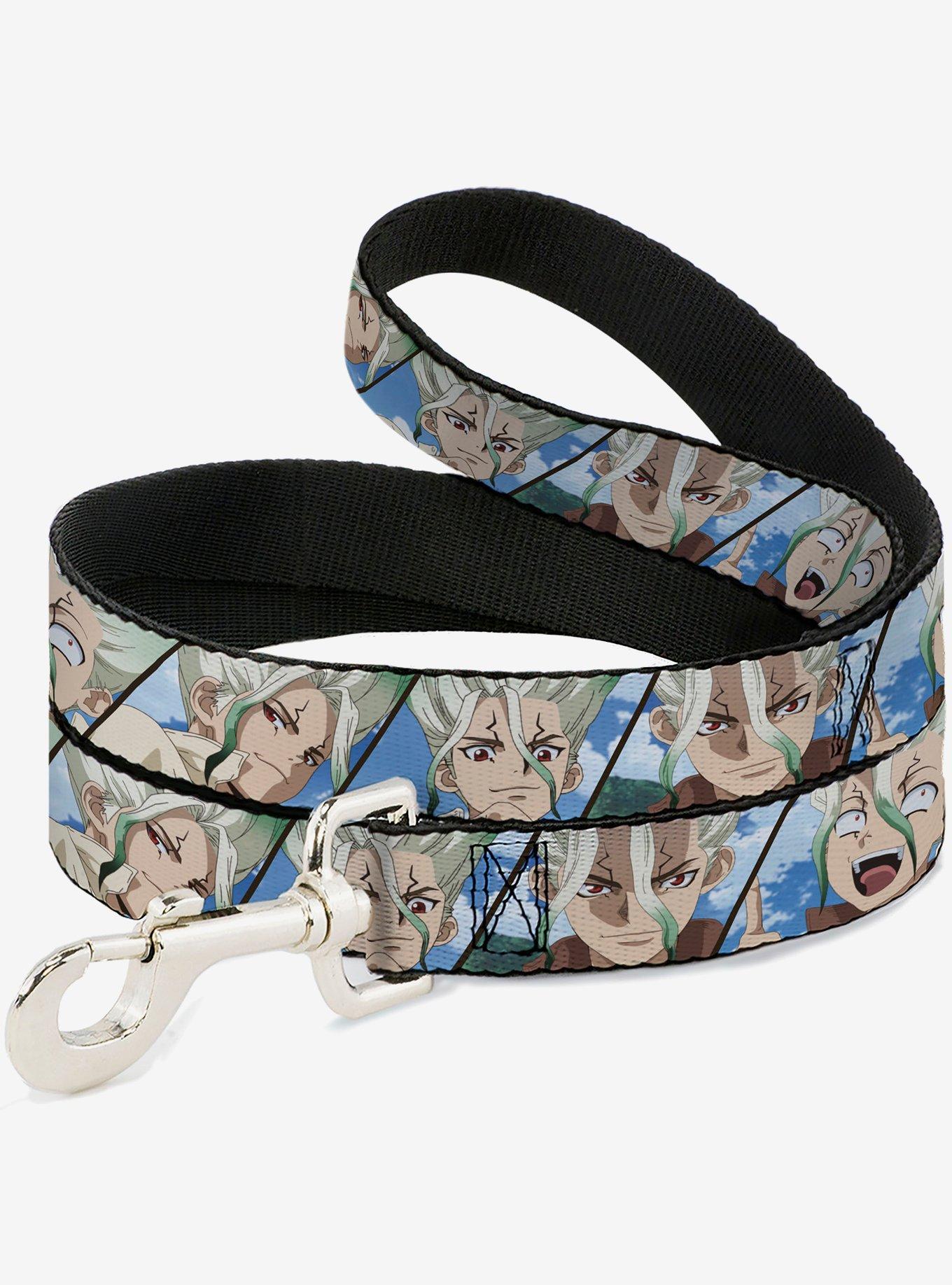 Dr. Stone Senku Ishigami Expression Blocks Blues Dog Leash, , hi-res