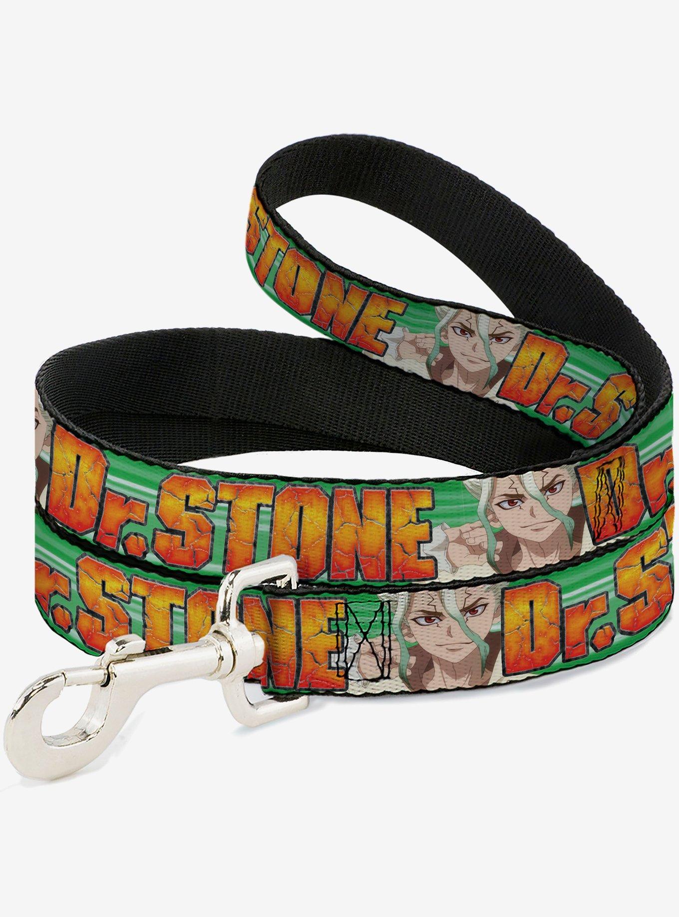 Dr. Stone Title and Suika Face Close Up Dog Leash, , hi-res