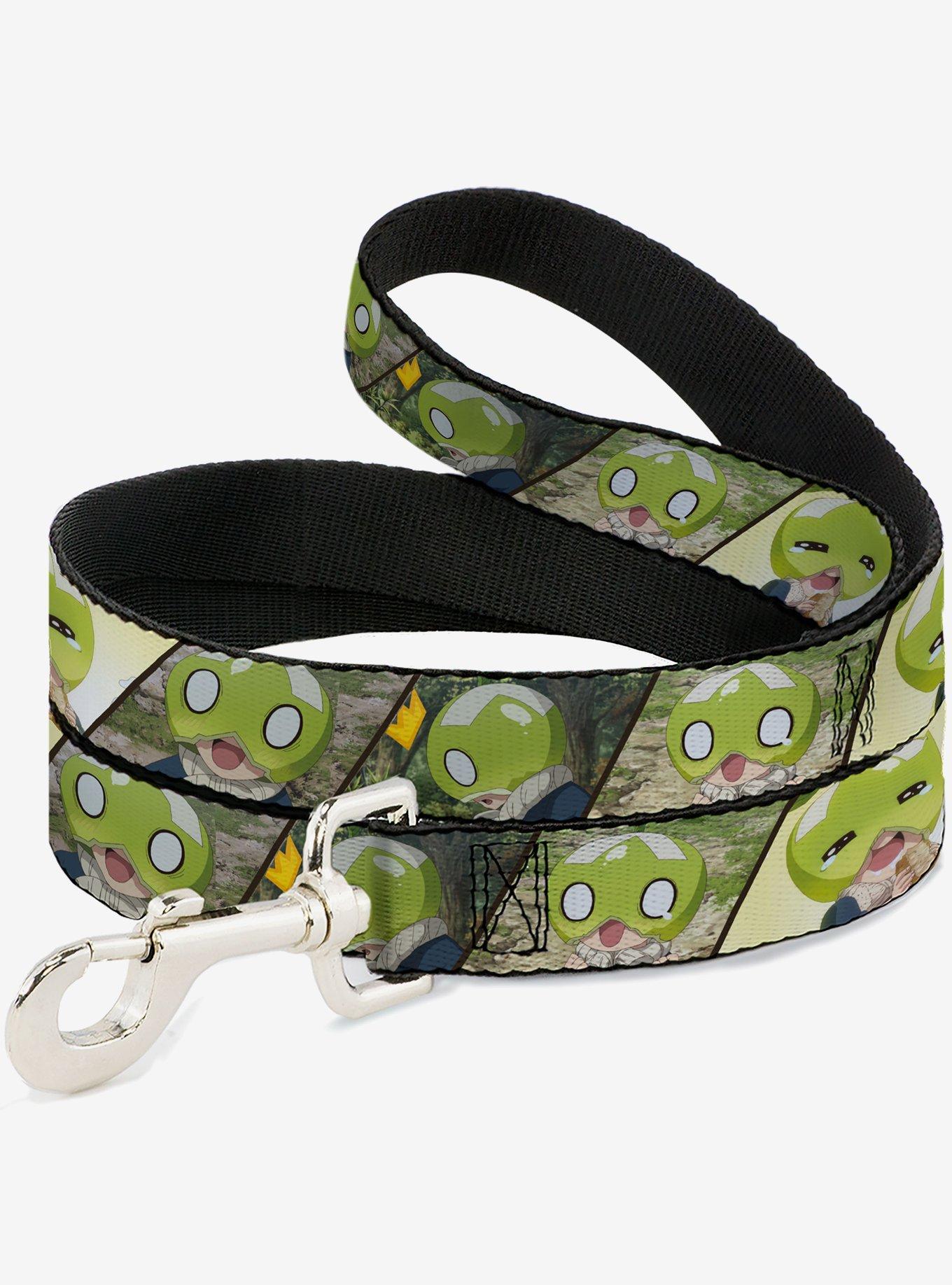 Dr. Stone Title and Suika Pose Blocks Dog Leash, , hi-res