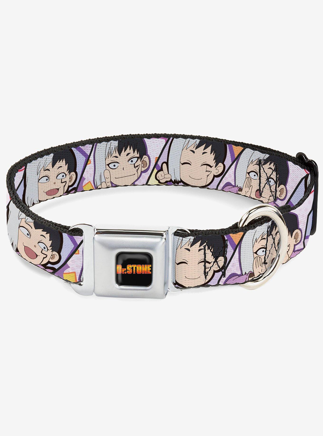 Dr. Stone Chibi Gen Asagiri Expression Blocks Seatbelt Buckle Dog Collar, , hi-res