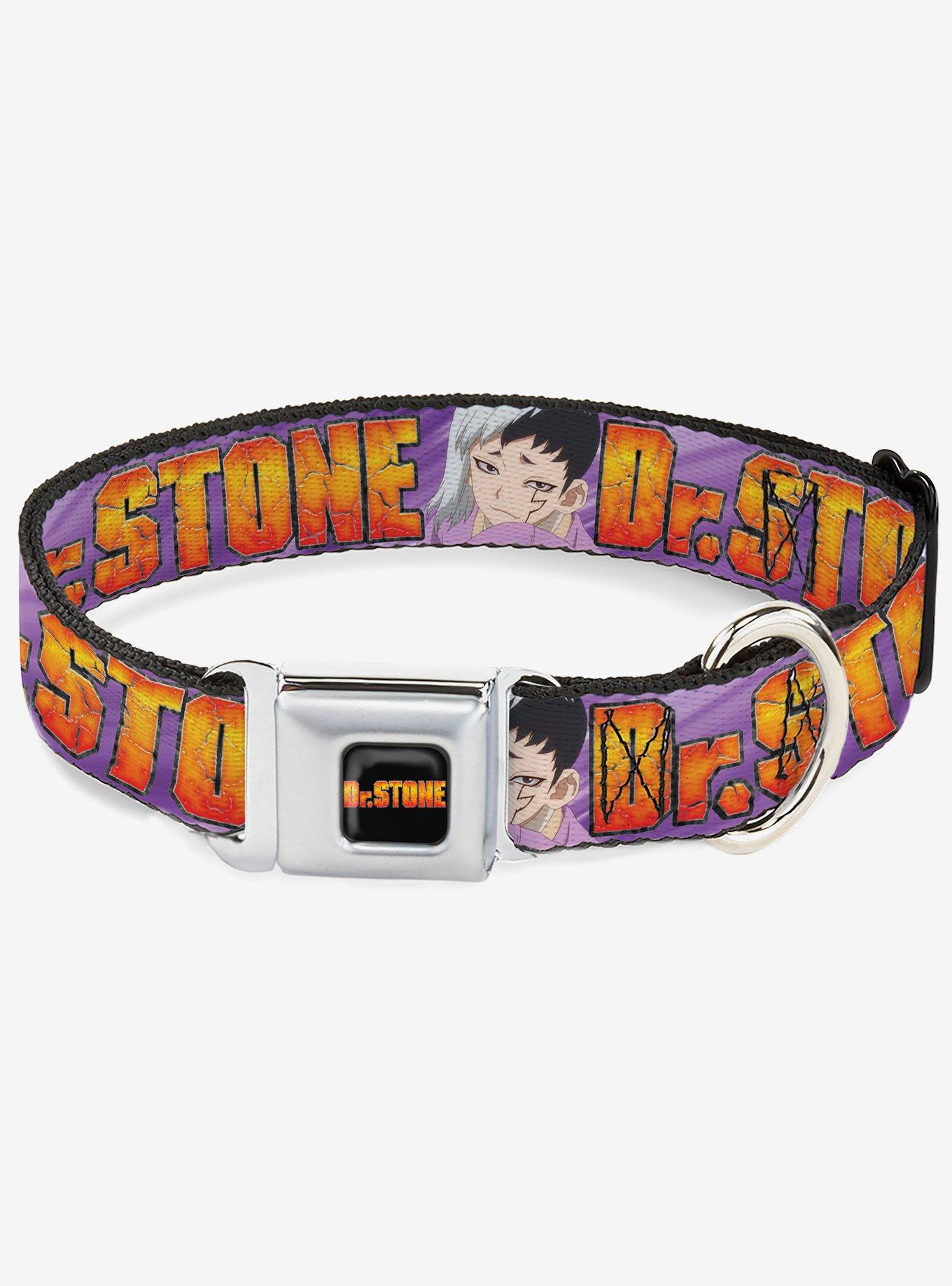 Dr. Stone Title and Gen Asagiri Face Seatbelt Buckle Dog Collar, , hi-res