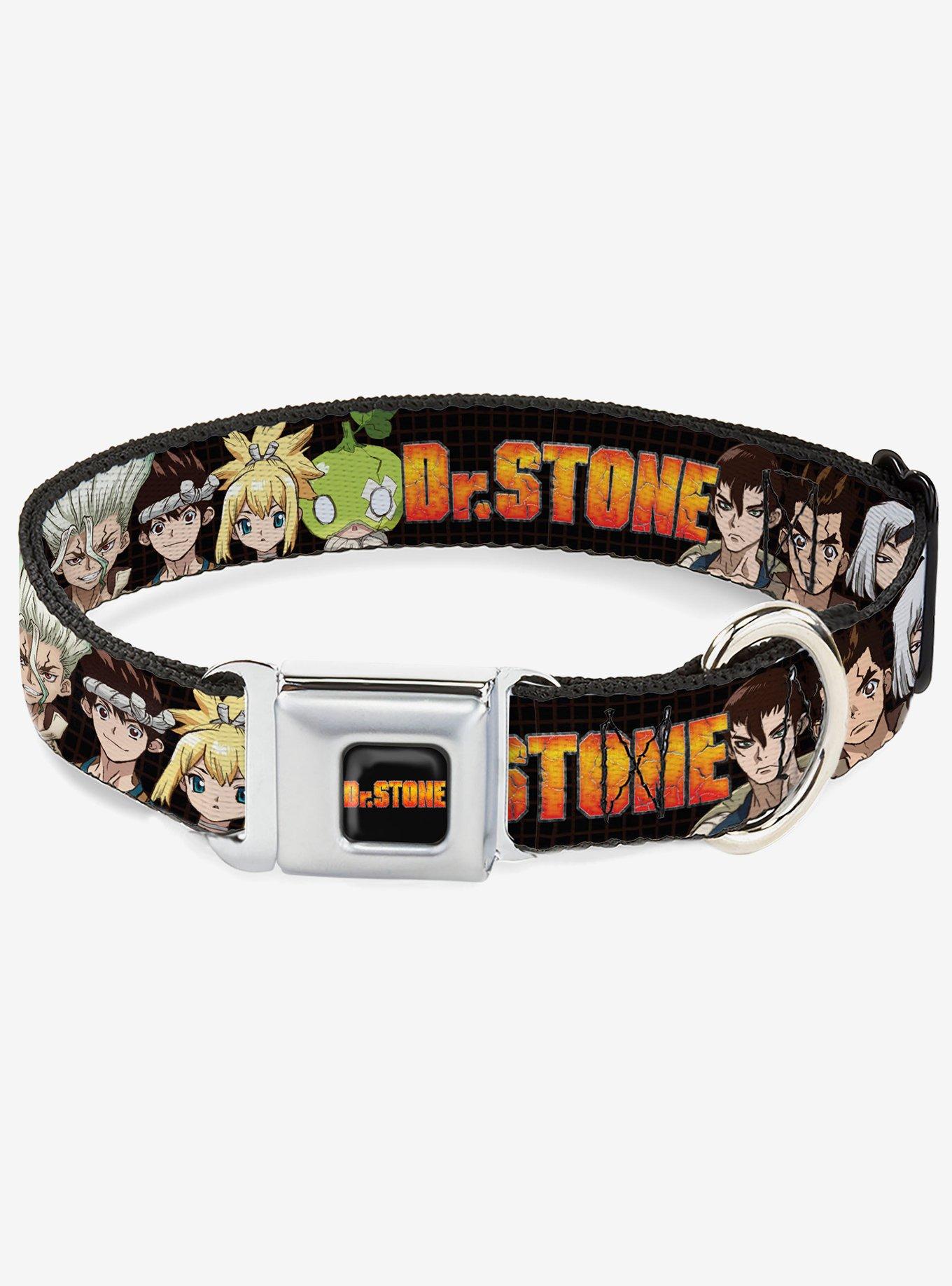 Dr. Stone Title and Character Group Black Seatbelt Buckle Dog Collar