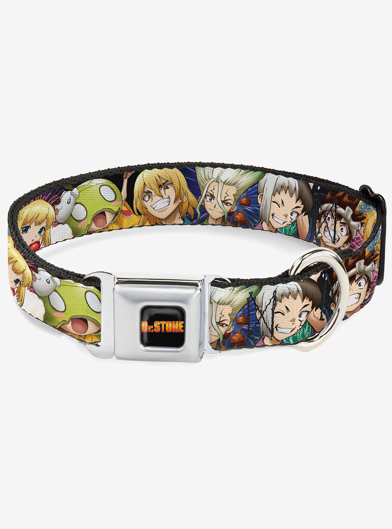 Dr. Stone Character Group Faces Close Up Seatbelt Buckle Dog Collar, , hi-res