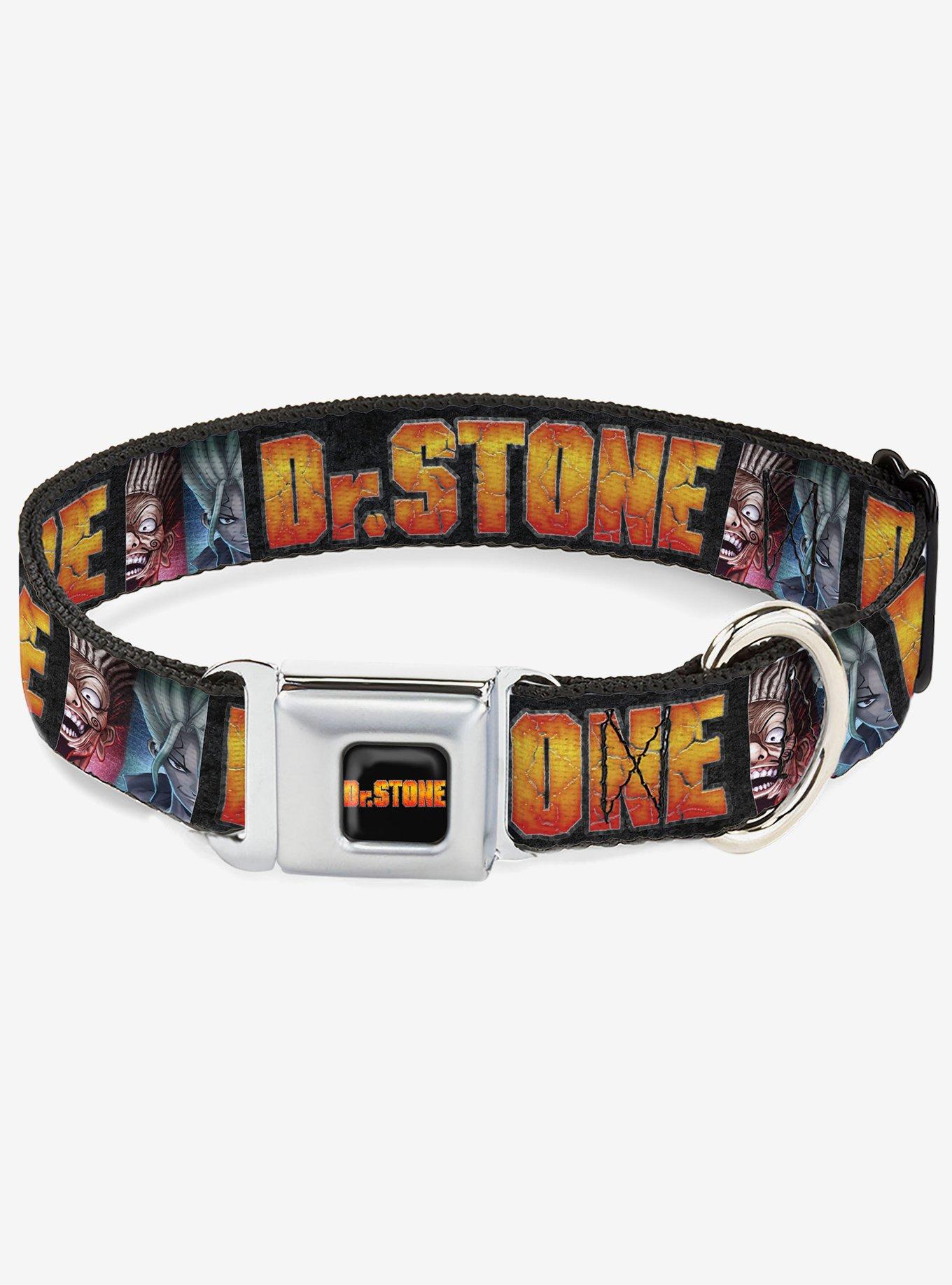 Dr. Stone Title and Ibara Senku Split Pose Black Seatbelt Buckle Dog Collar, , hi-res