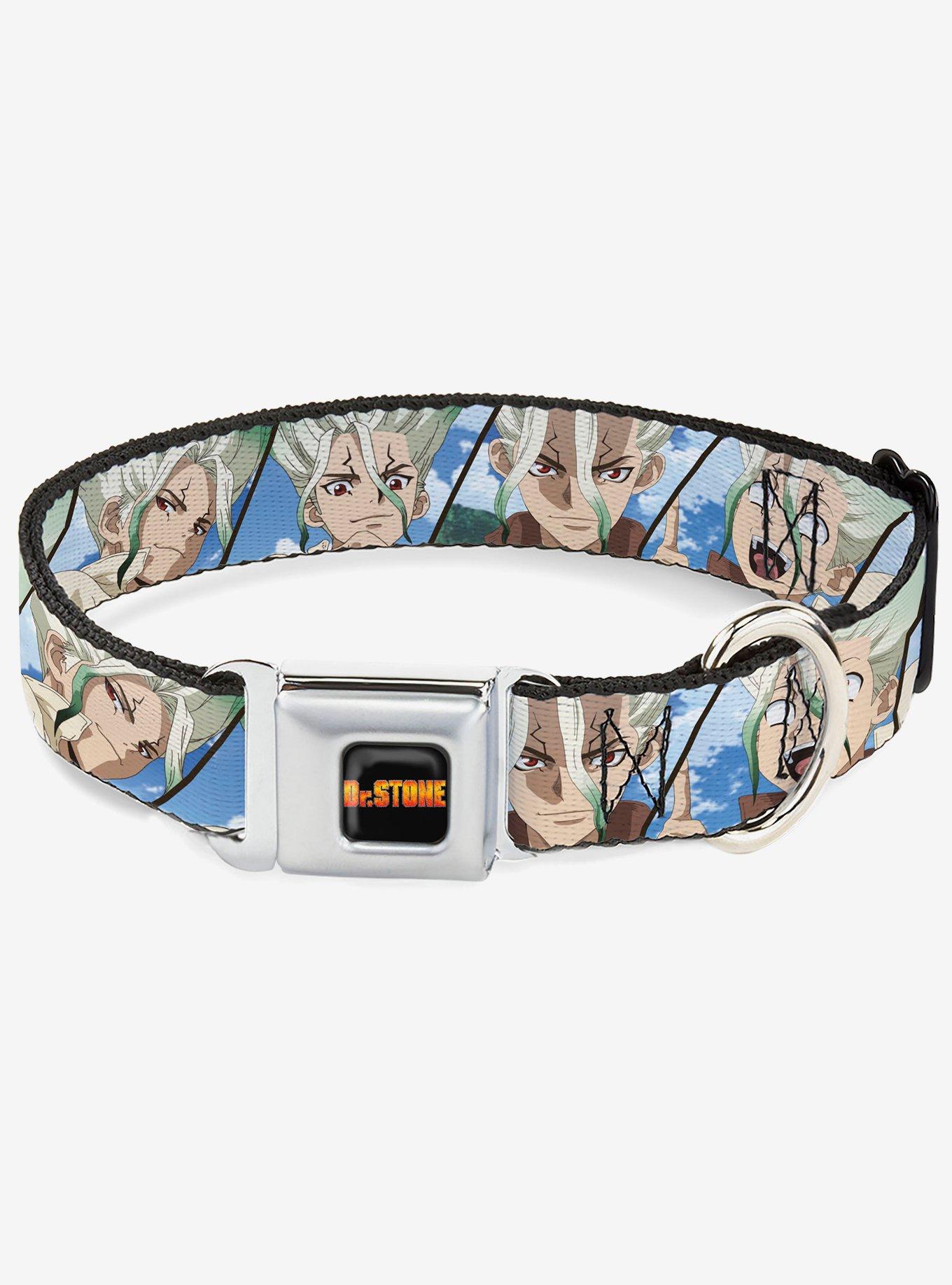 Dr. Stone Senku Ishigami Expression Blocks Blues Seatbelt Buckle Dog Collar, , hi-res