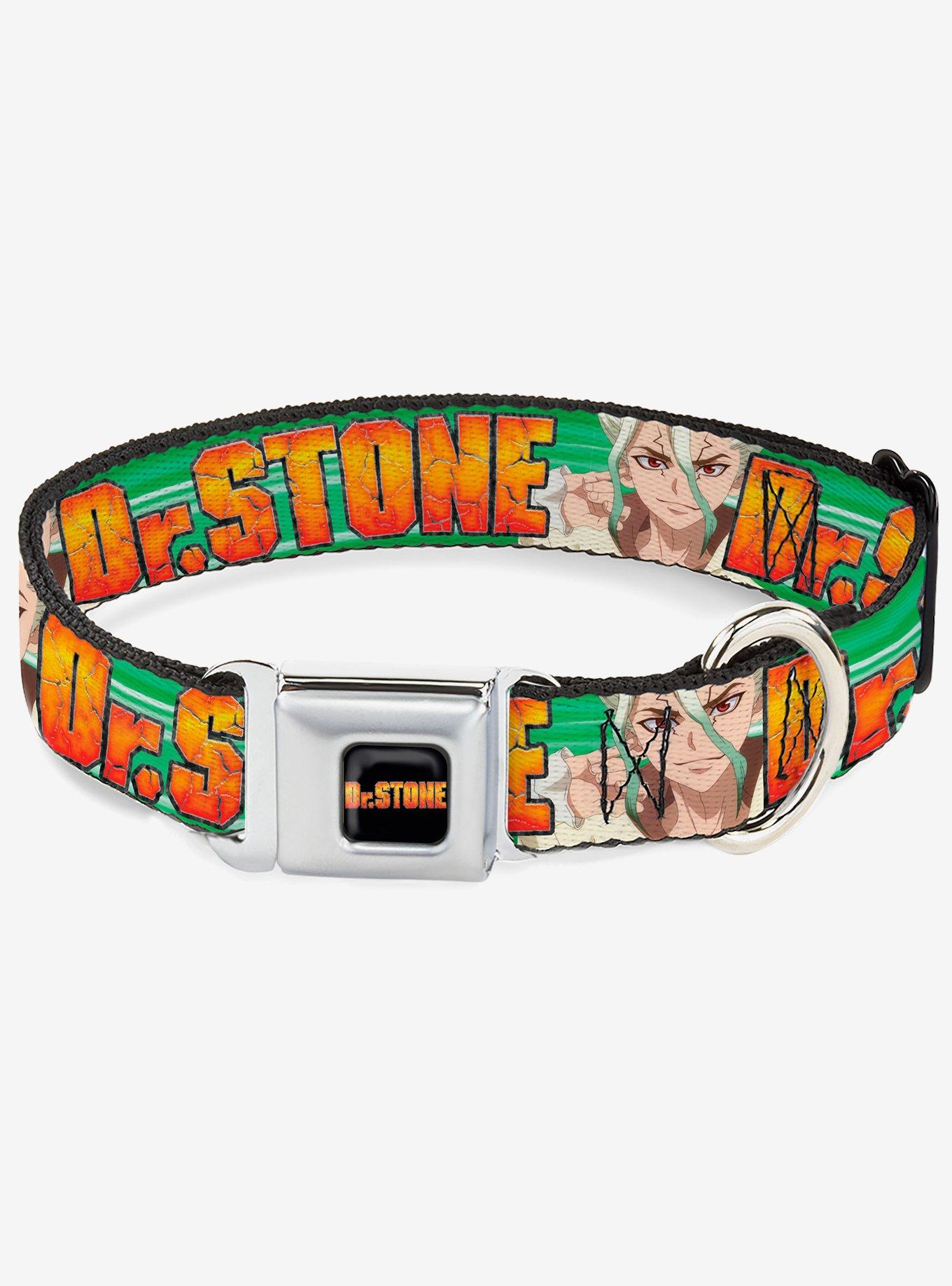 Dr. Stone Title and Suika Face Close Up Seatbelt Buckle Dog Collar, , hi-res