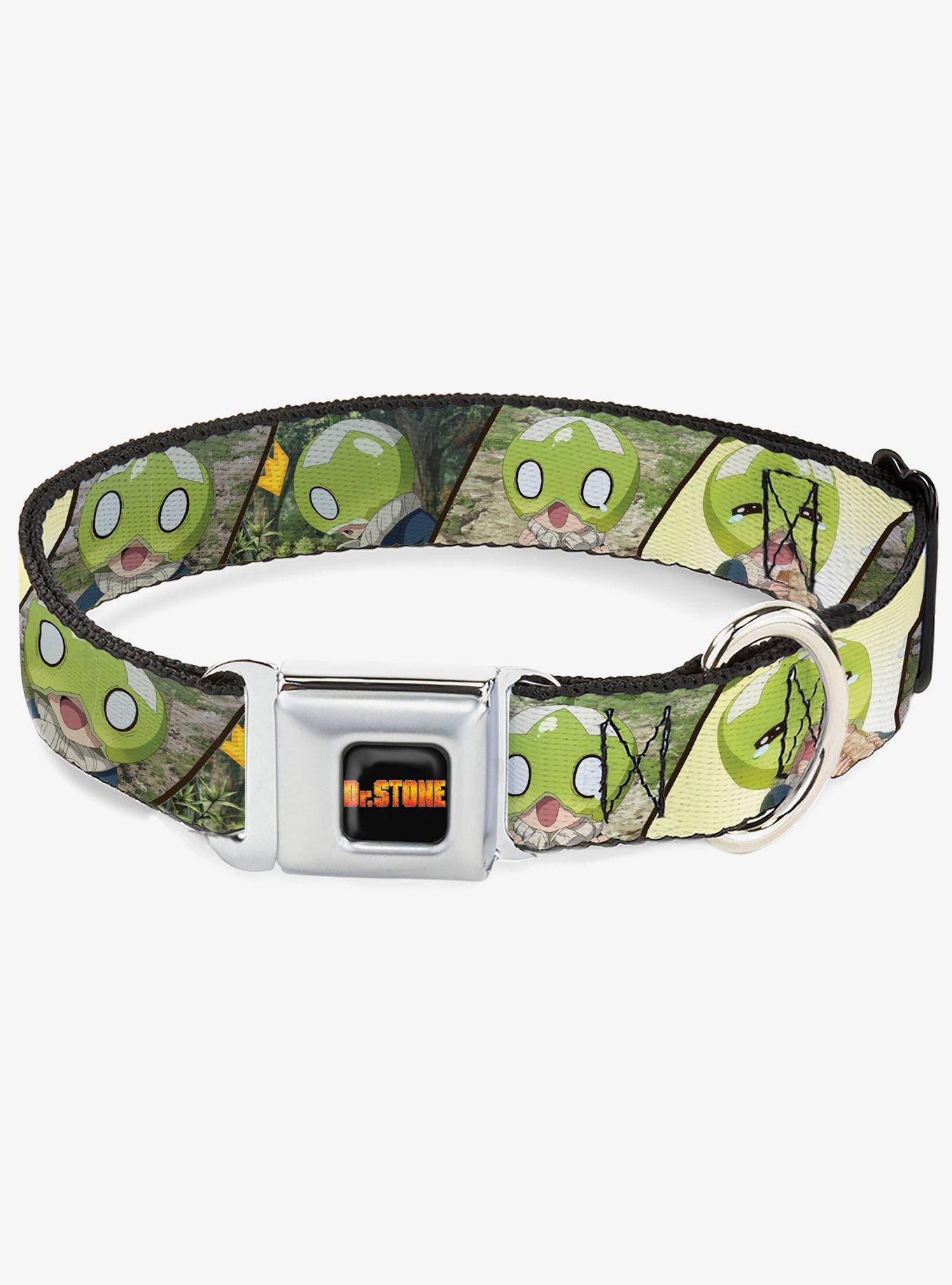 Dr. Stone Title and Suika Pose Blocks Seatbelt Buckle Dog Collar