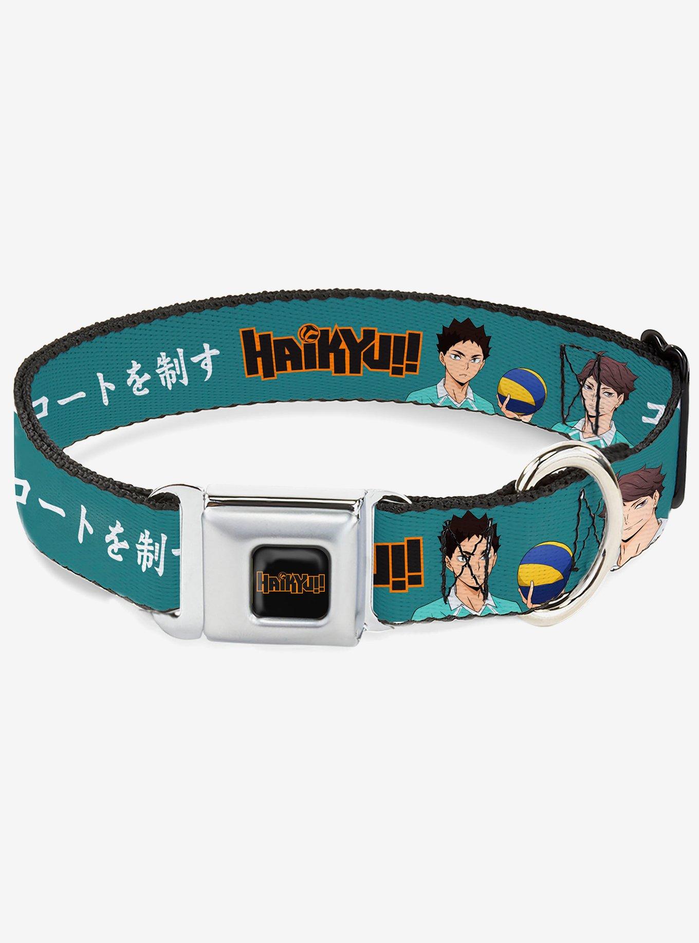 Haikyu!! Iwaizumi and Oikawa Control the Court and Logo Blue Seatbelt Buckle Dog Collar, , hi-res