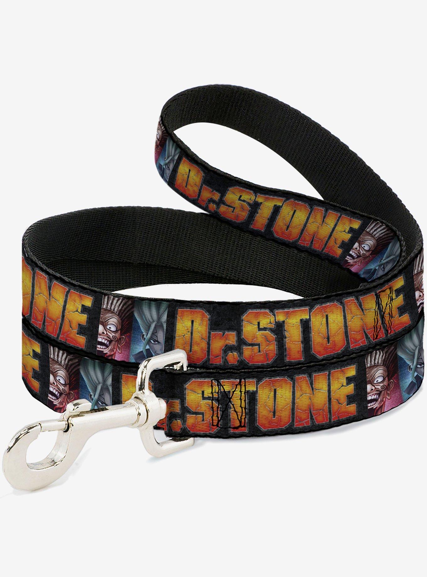 Dr. Stone Title and Ibara Senku Split Pose Black Dog Leash, , hi-res