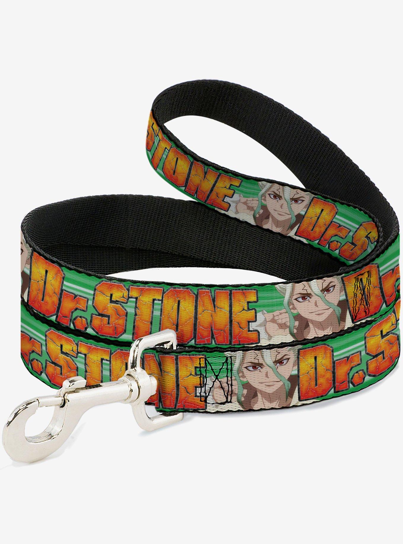 Dr. Stone Title and Suika Face Close Up Dog Leash, MULTI, hi-res