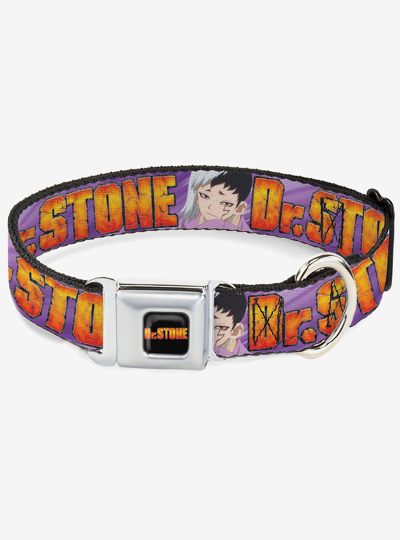 Dr. Stone Title and Gen Asagiri Face Seatbelt Buckle Dog Collar, , hi-res