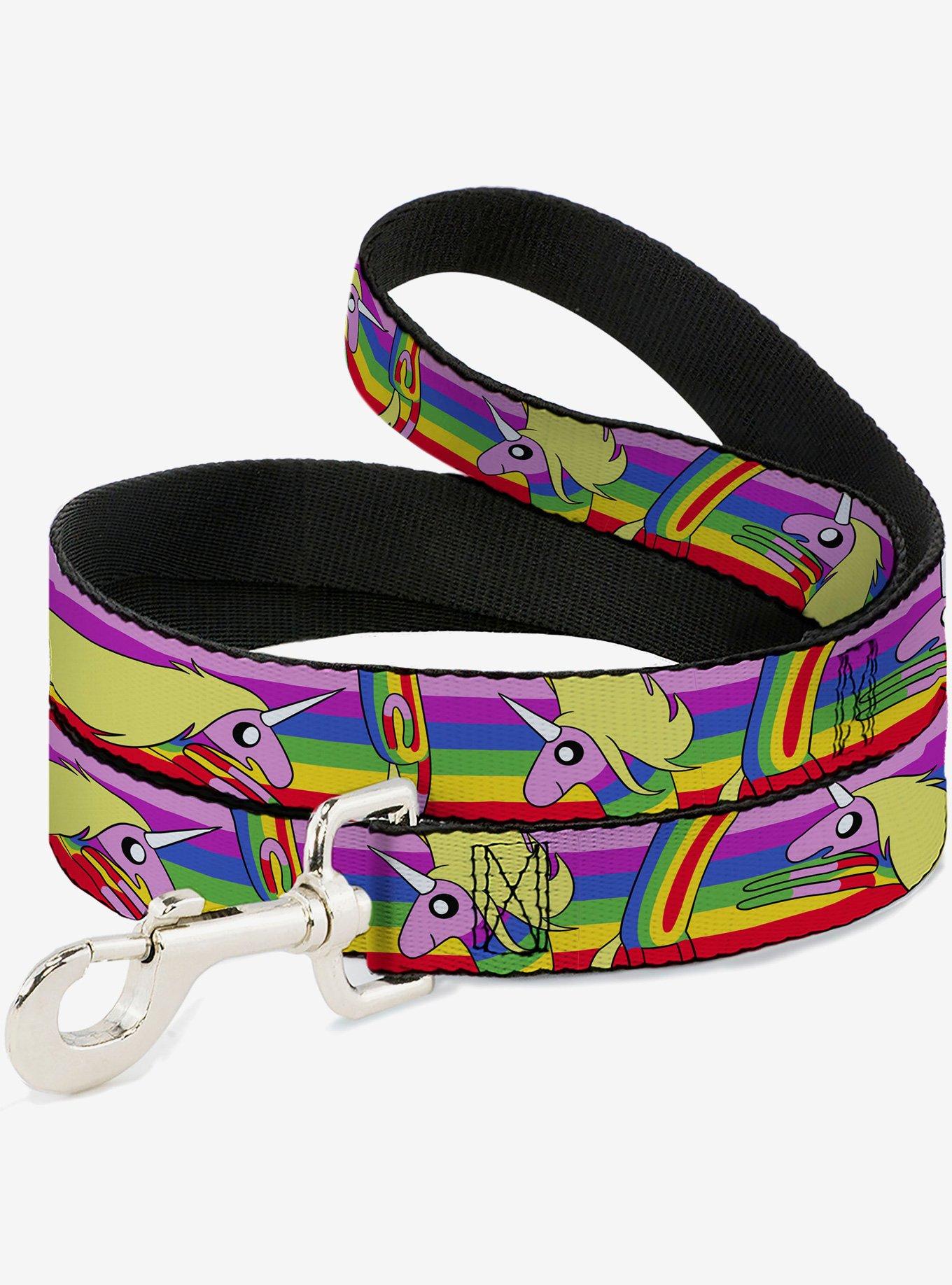 Adventure Time Lady Raincorn Poses Stripe Rainbow Dog Leash