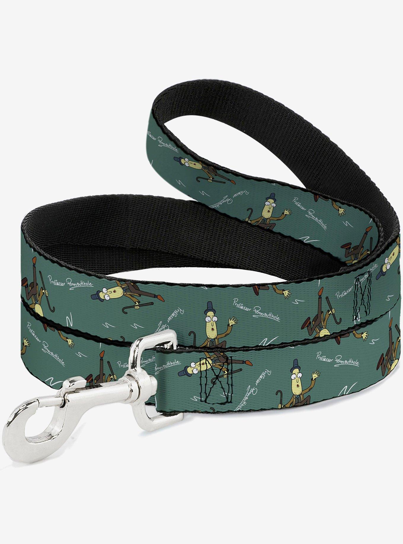 Rick and Morty Professor Poppybutthole And Signature Chalk Board Dog Leash, , hi-res