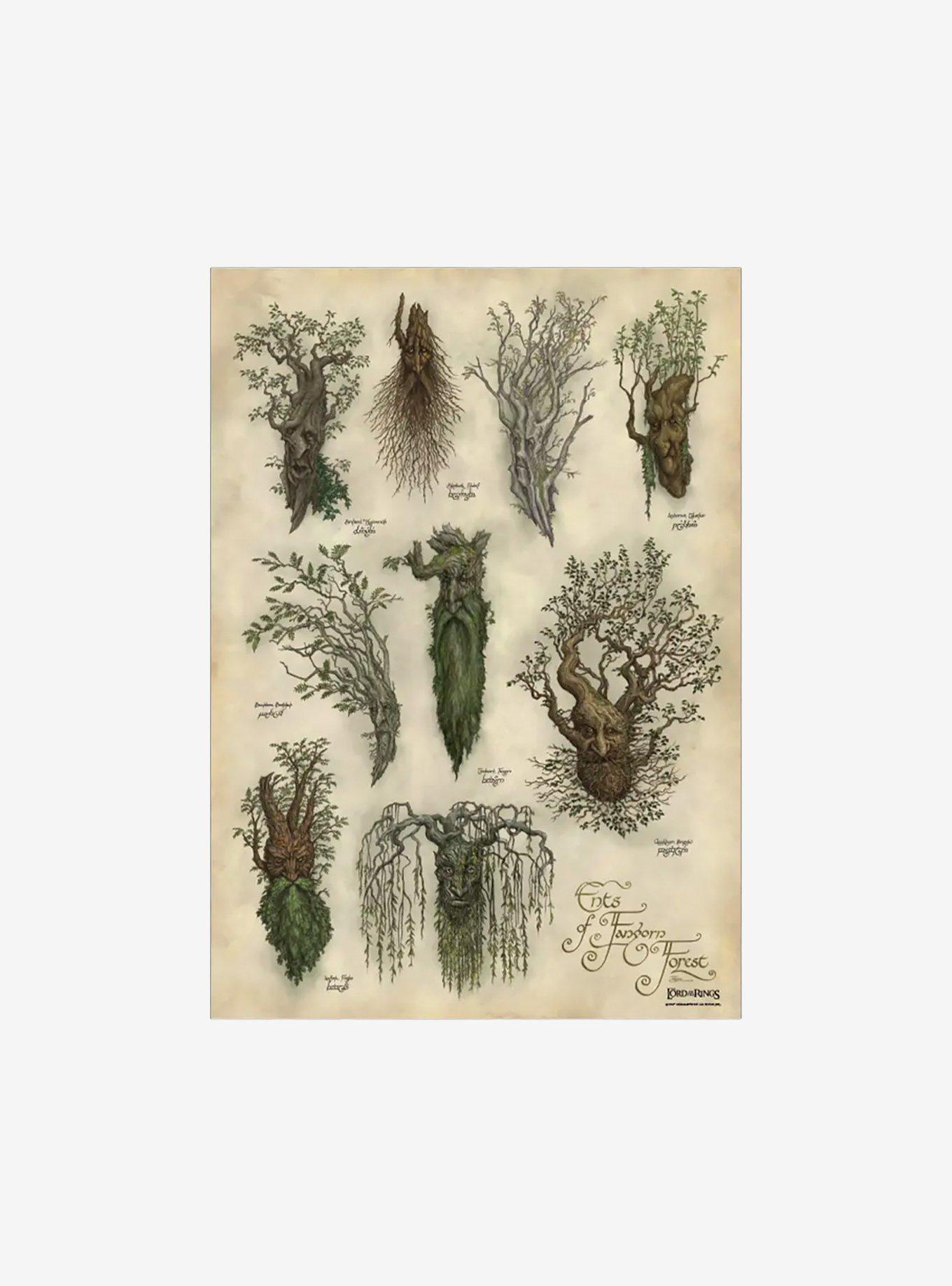 The Lord of the Rings Ent's of Fangorn Forest Art Print, , hi-res