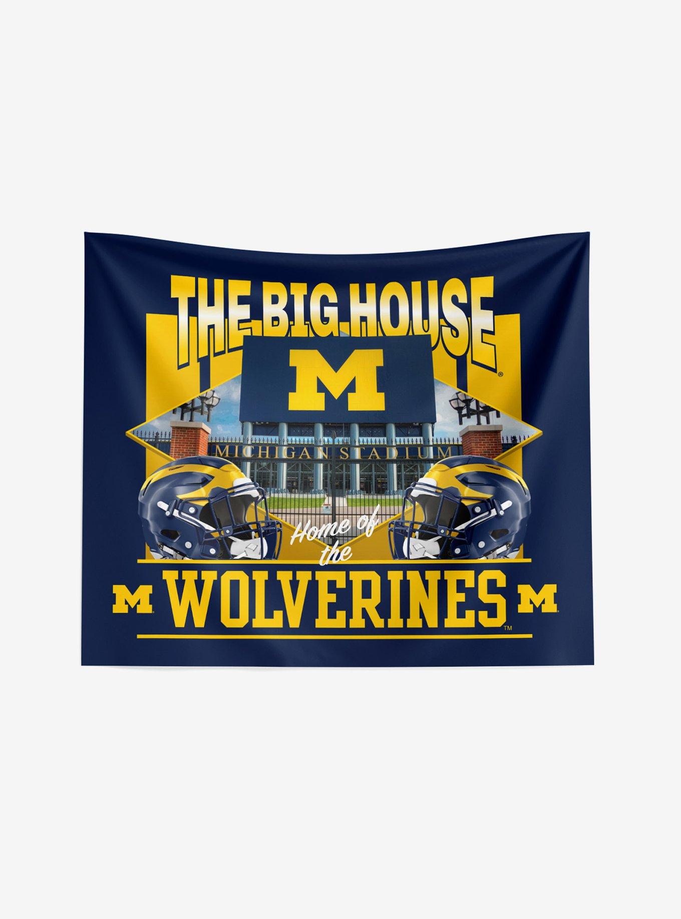 NCAA Michigan Wolverines The Big House Wall Hanging, , hi-res