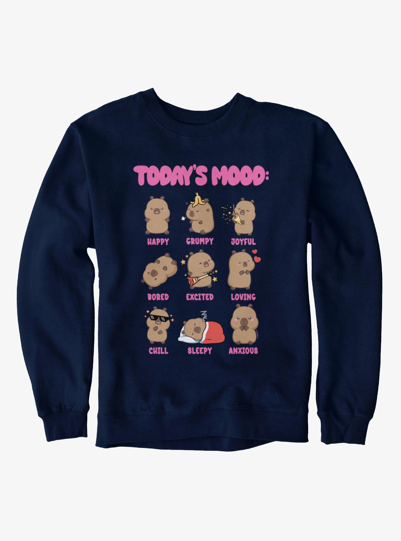 Capyfun Capybara Today'S Mood Capy Sweatshirt