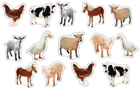 Photographic Farm Animals Stickers, Pack of 84 | Mardel | 1240019