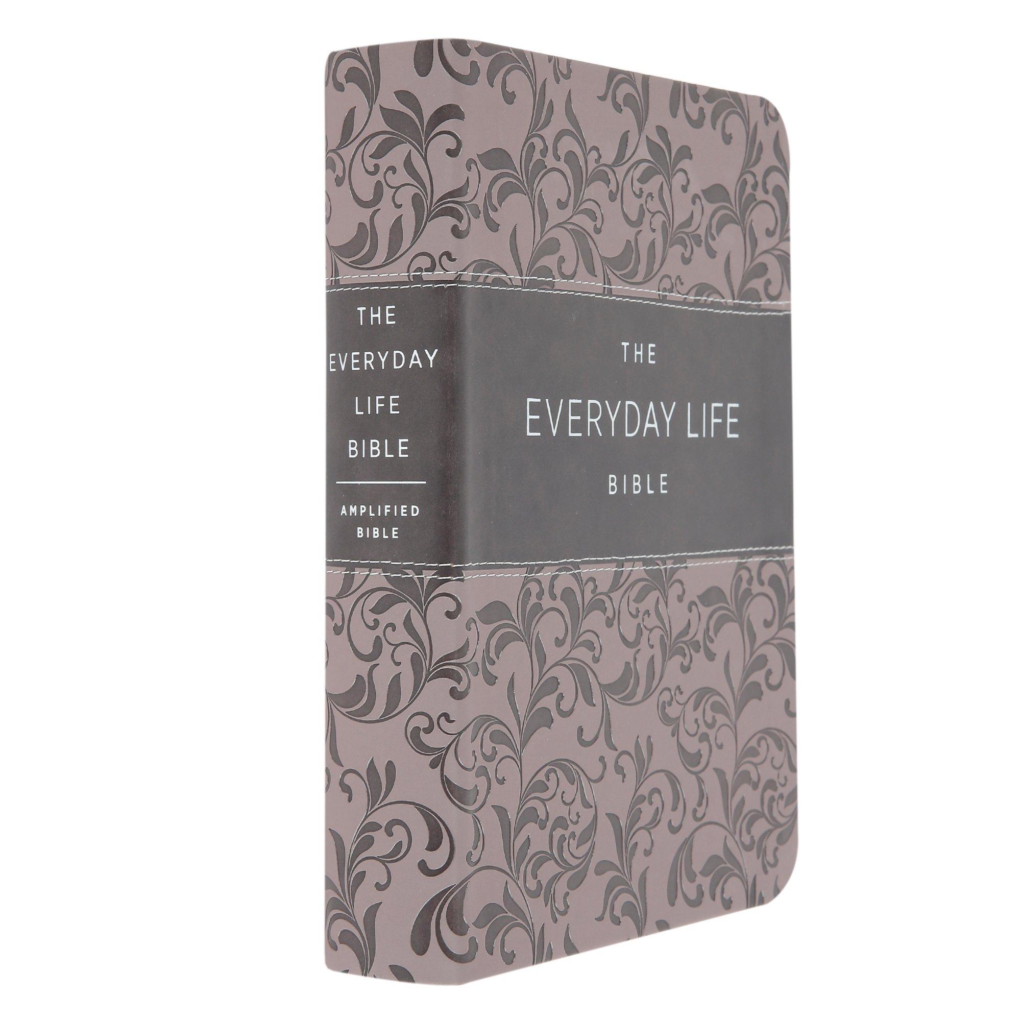 (未使用･未開封品)Bible in Everyday Life/ Bible & Traditions [DVD] 1804483-1804483-IMGSET
