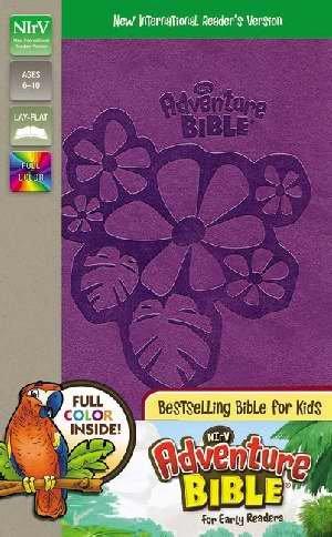 NIrV Adventure Bible for Early Readers, Imitation Leather