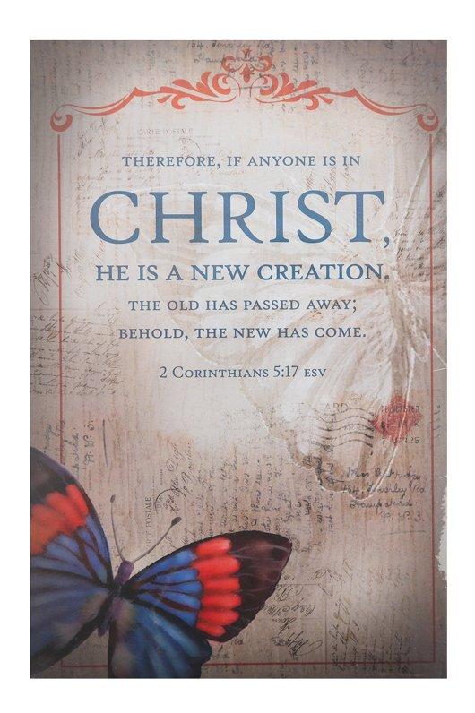 Salt light new creation church bulletins 100 count mardel 3526258