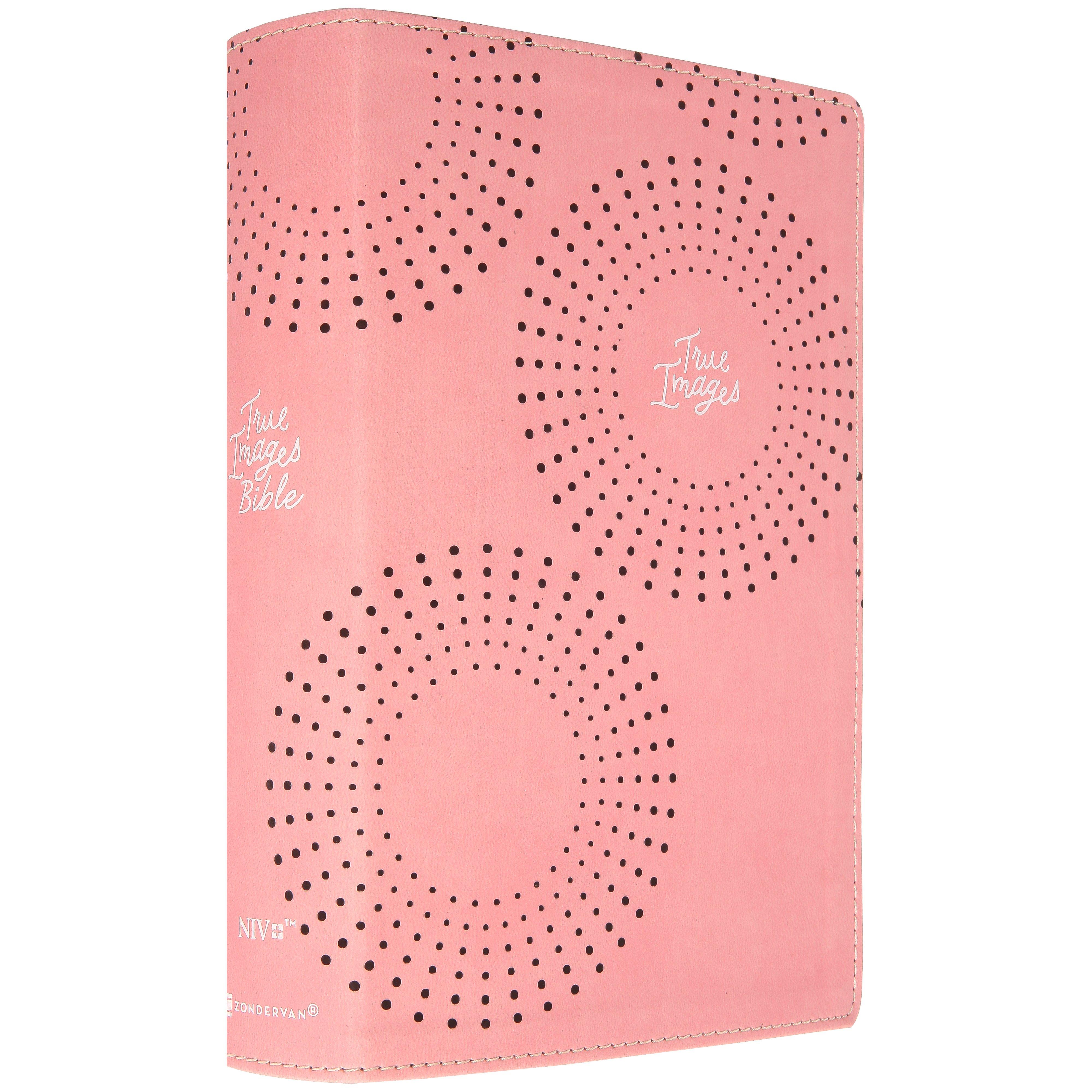 貴重 ファンクラブ限定 YAZAWA Bible 未開封品 3638632-3638632-05122025-IMGSET