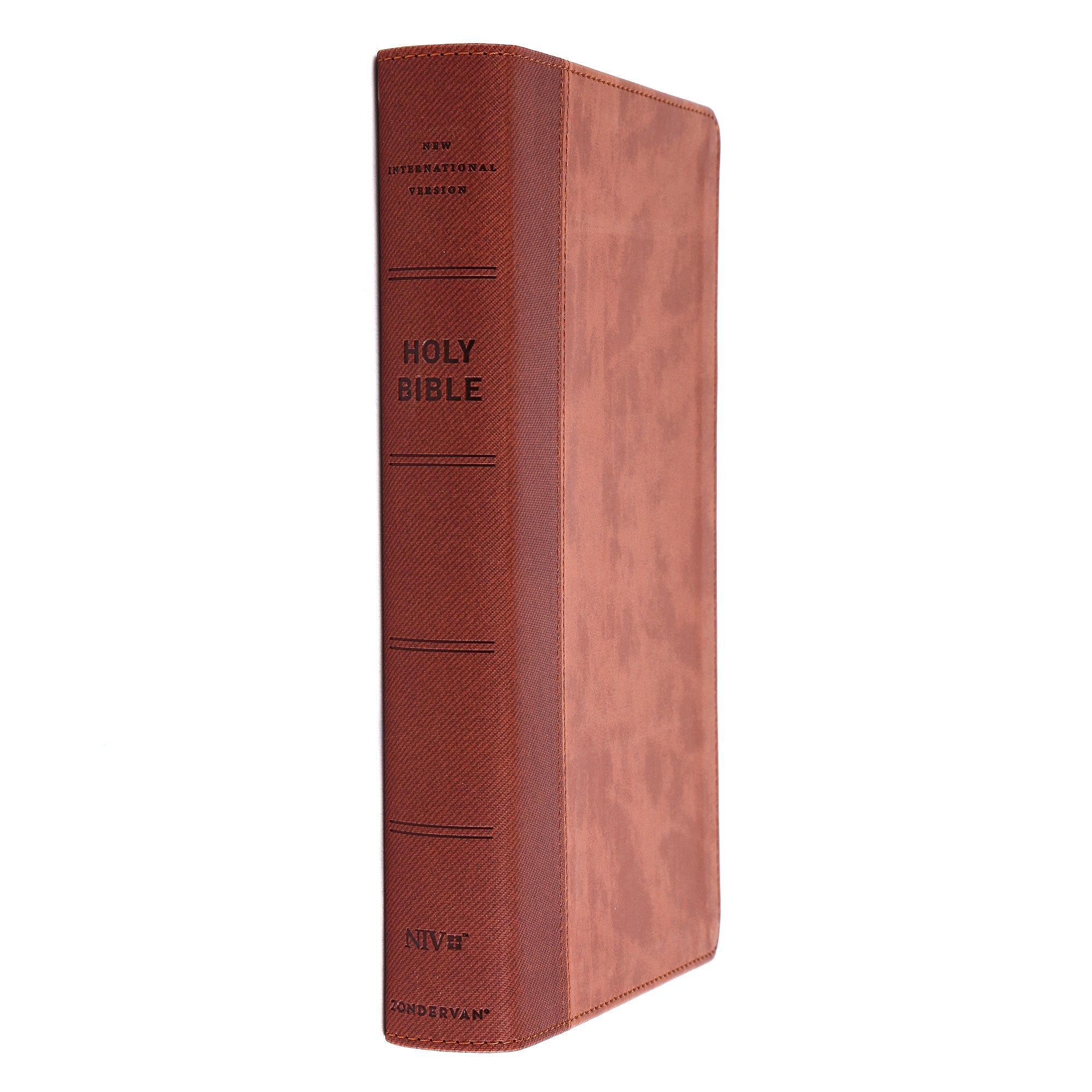 NIV Personal Size Bible, Large Print, Imitation Leather, Red