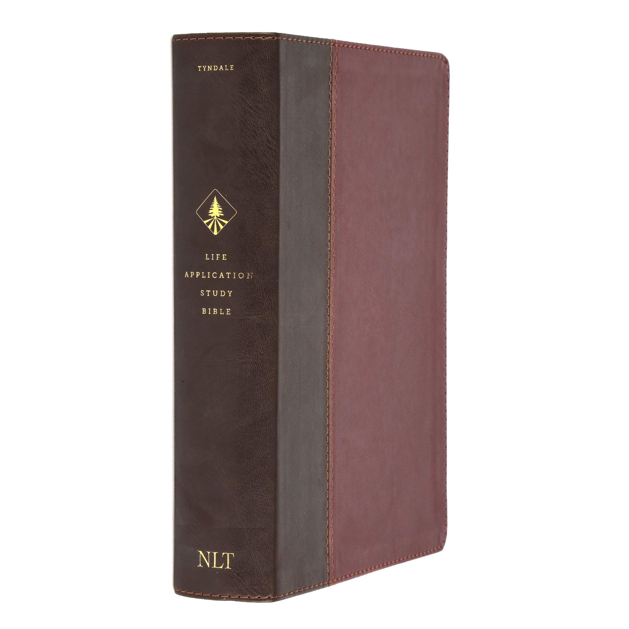 NLT Life Application Study Bible, 3rd Edition, Indexed, Red Letter ...