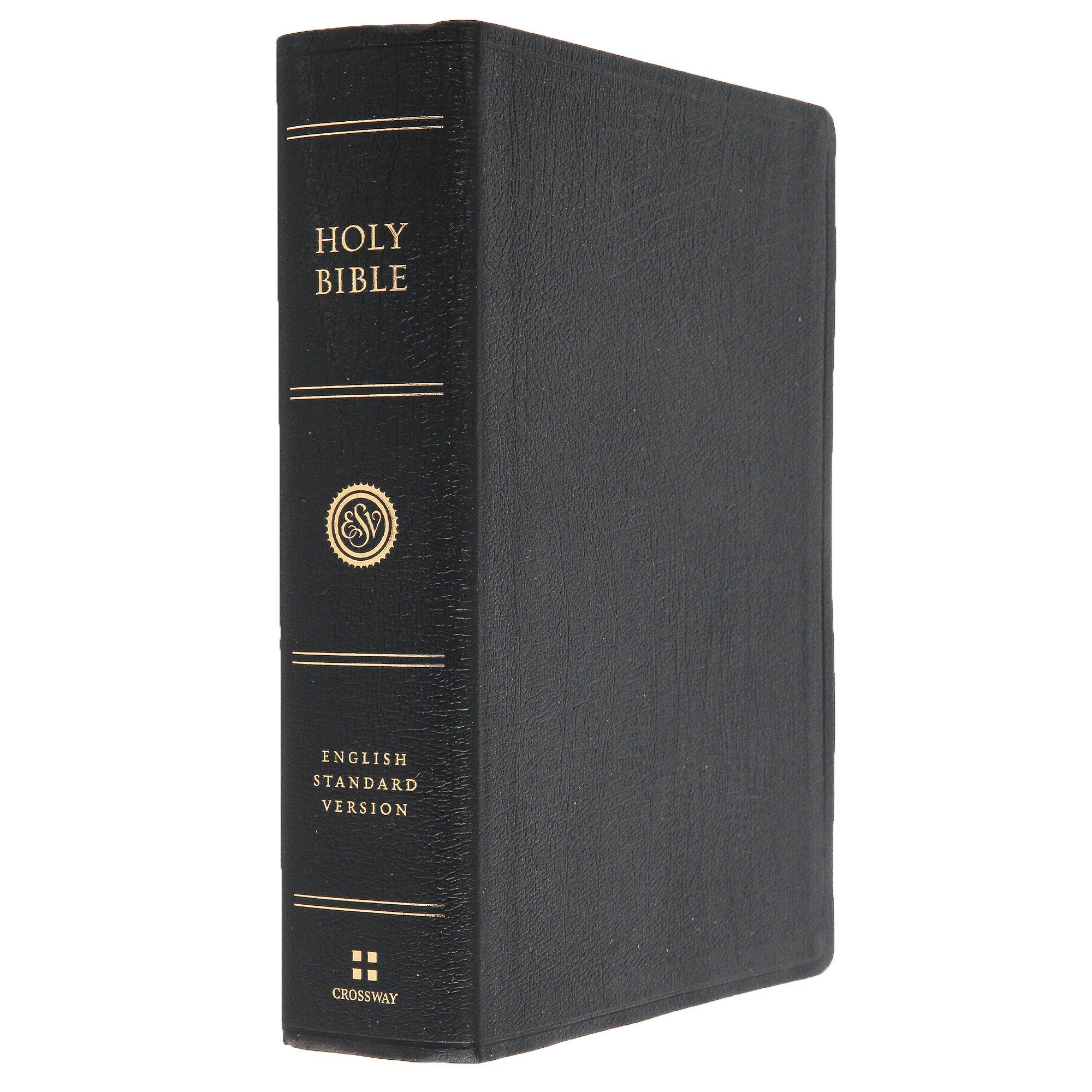 ESV Super Giant Print Bible, Genuine Leather, Black | Mardel | 3933934