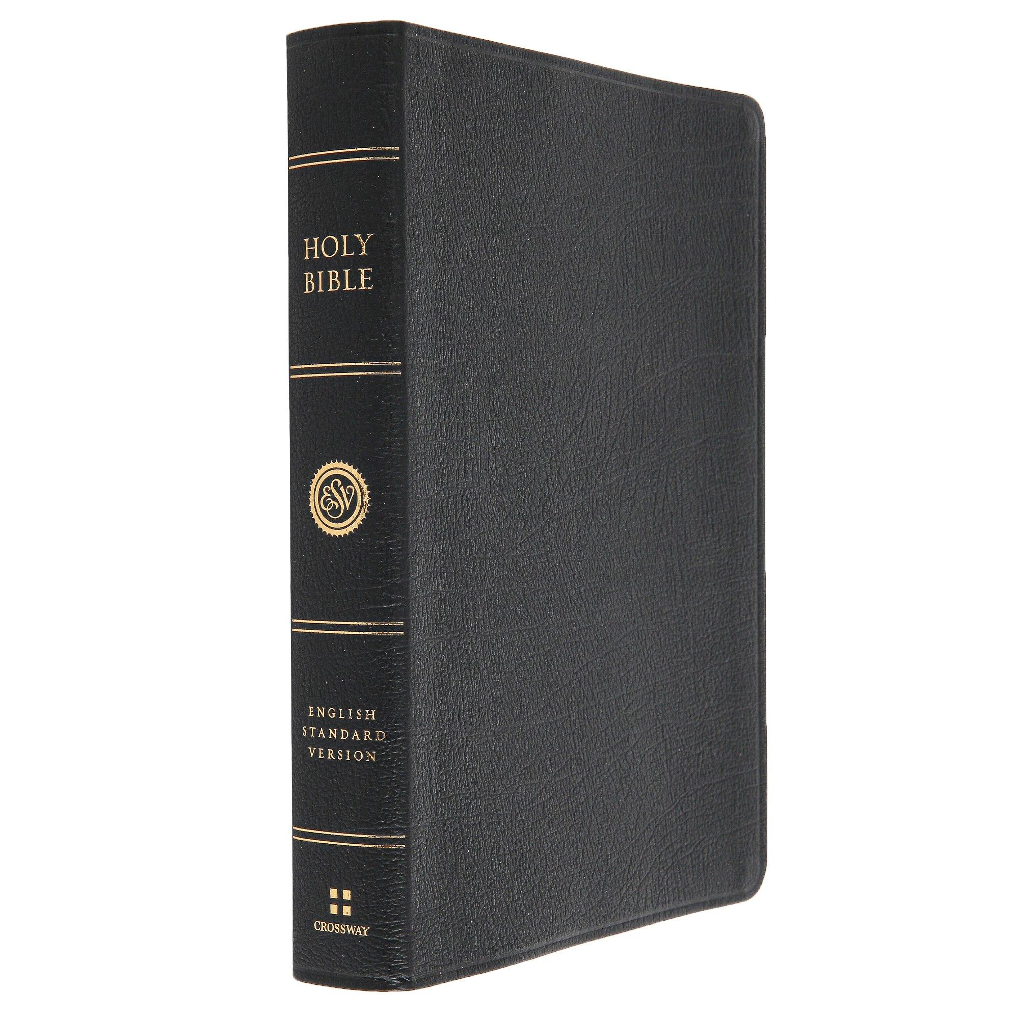 ESV Large Print Wide Margin Bible, Genuine Leather, Black Mardel