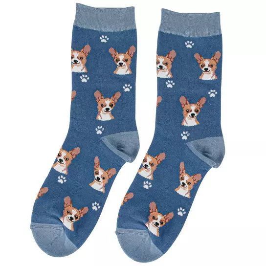 Chihuahua Socks Chihuahua Socks